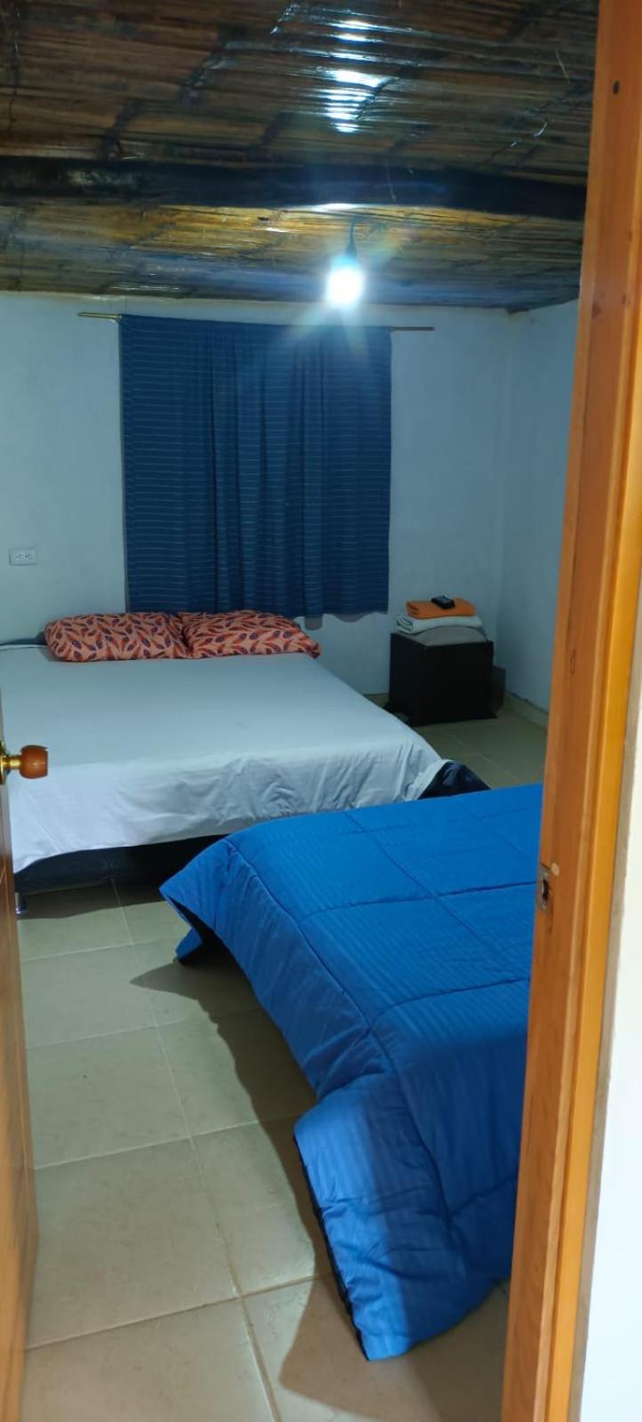 Double or Twin Room photo 1