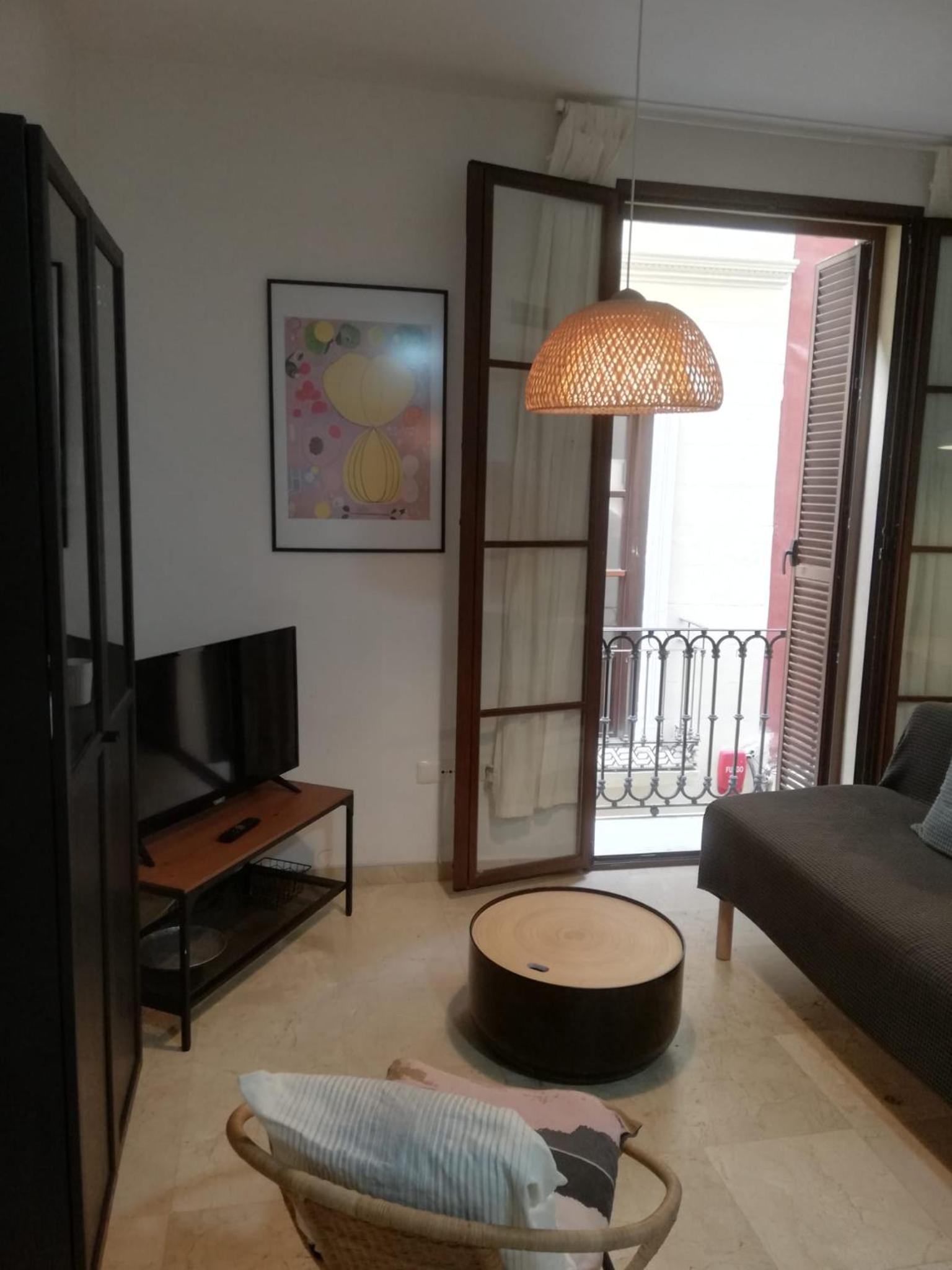 Standard Apartment photo 3