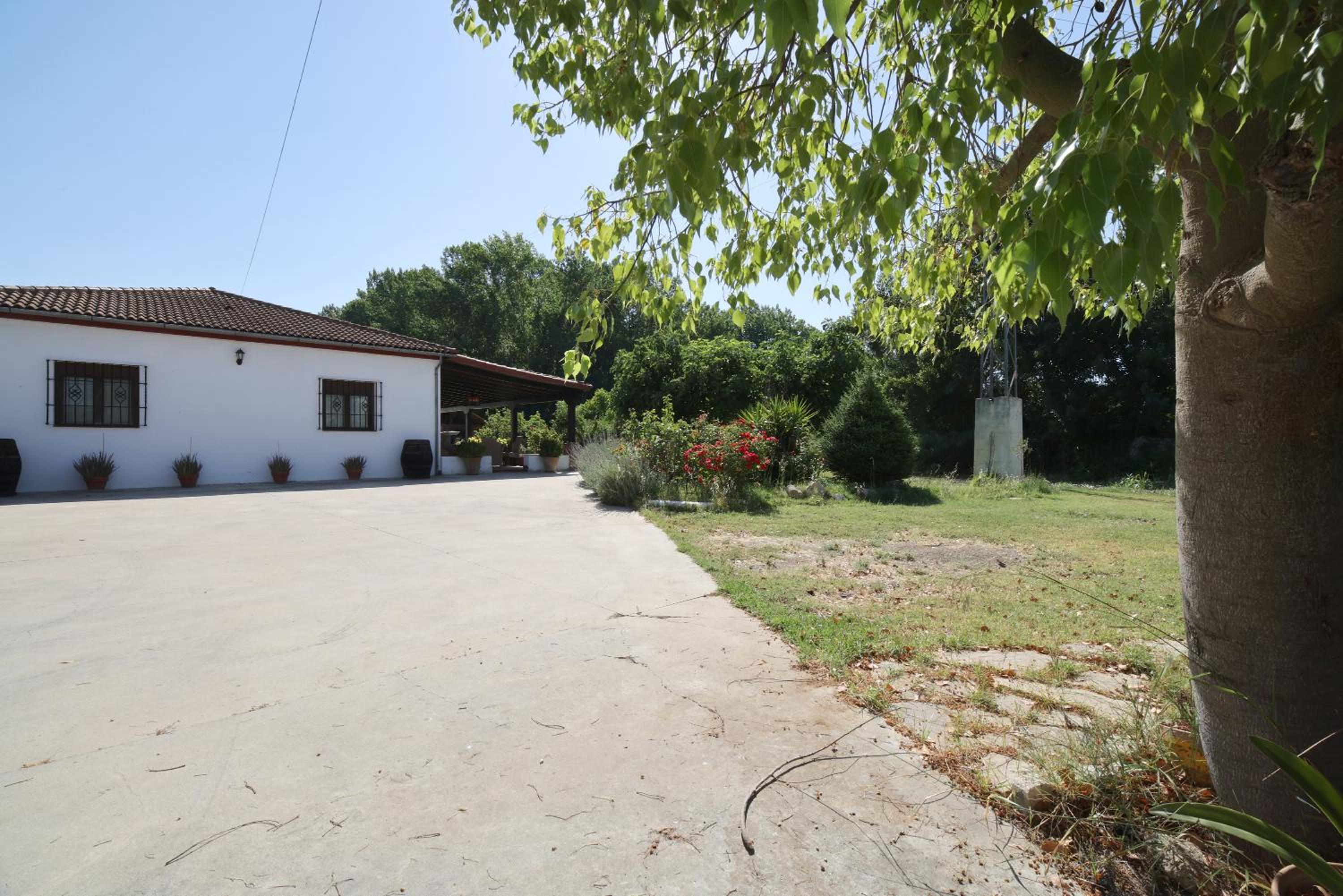 Three-Bedroom House - Photo 4
