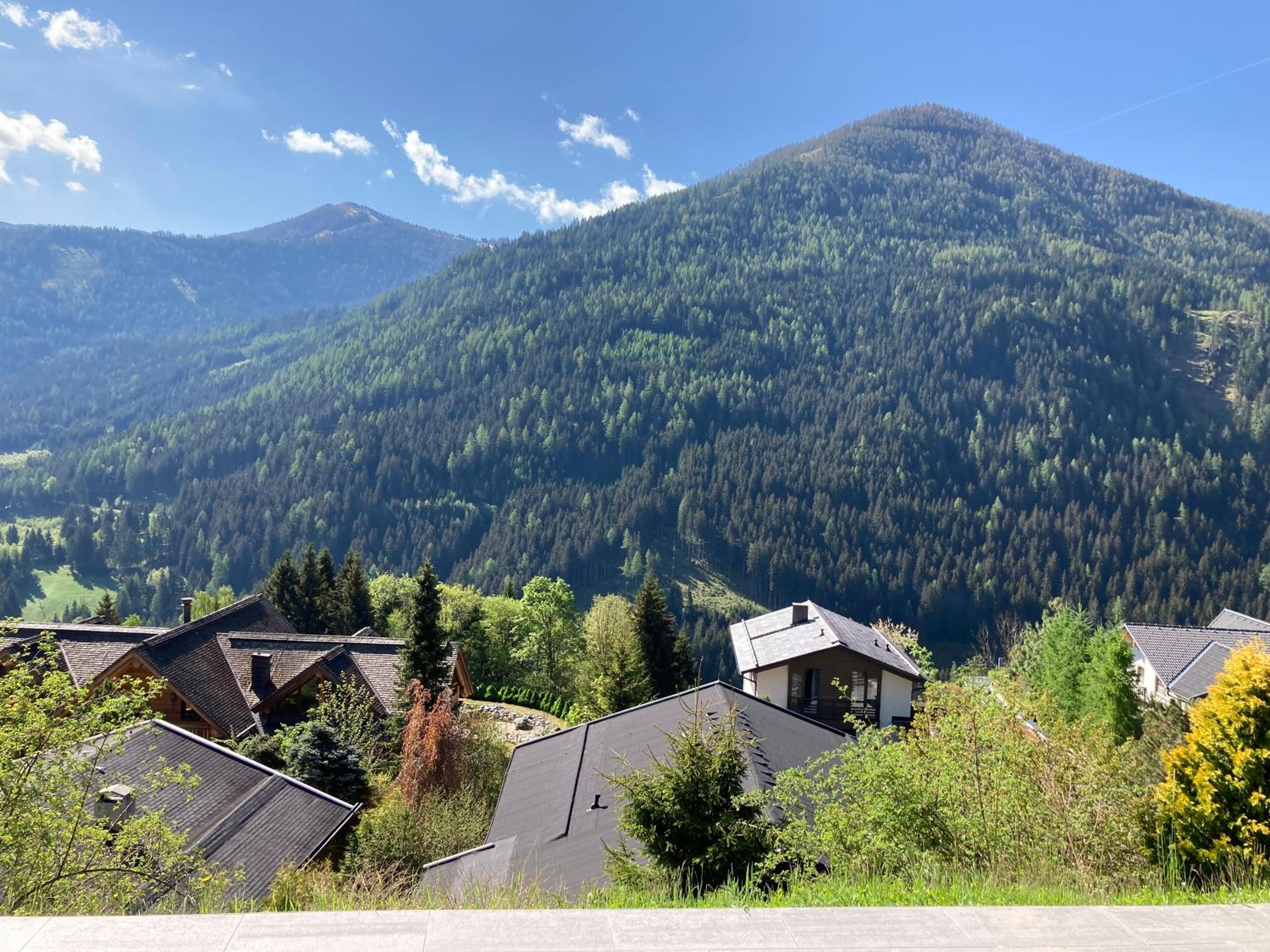Apartment with Mountain View photo 3