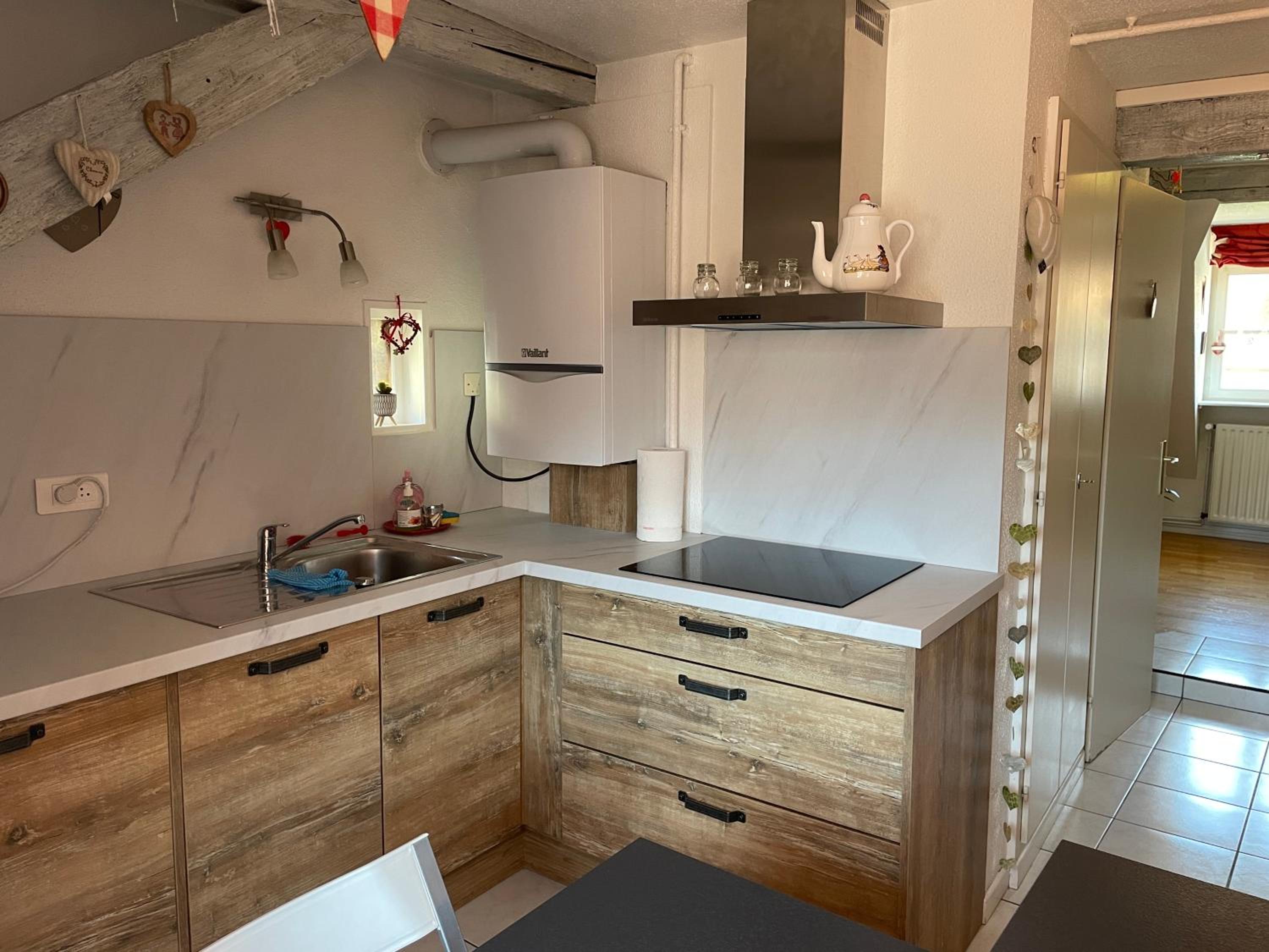 Duplex Apartment photo 3