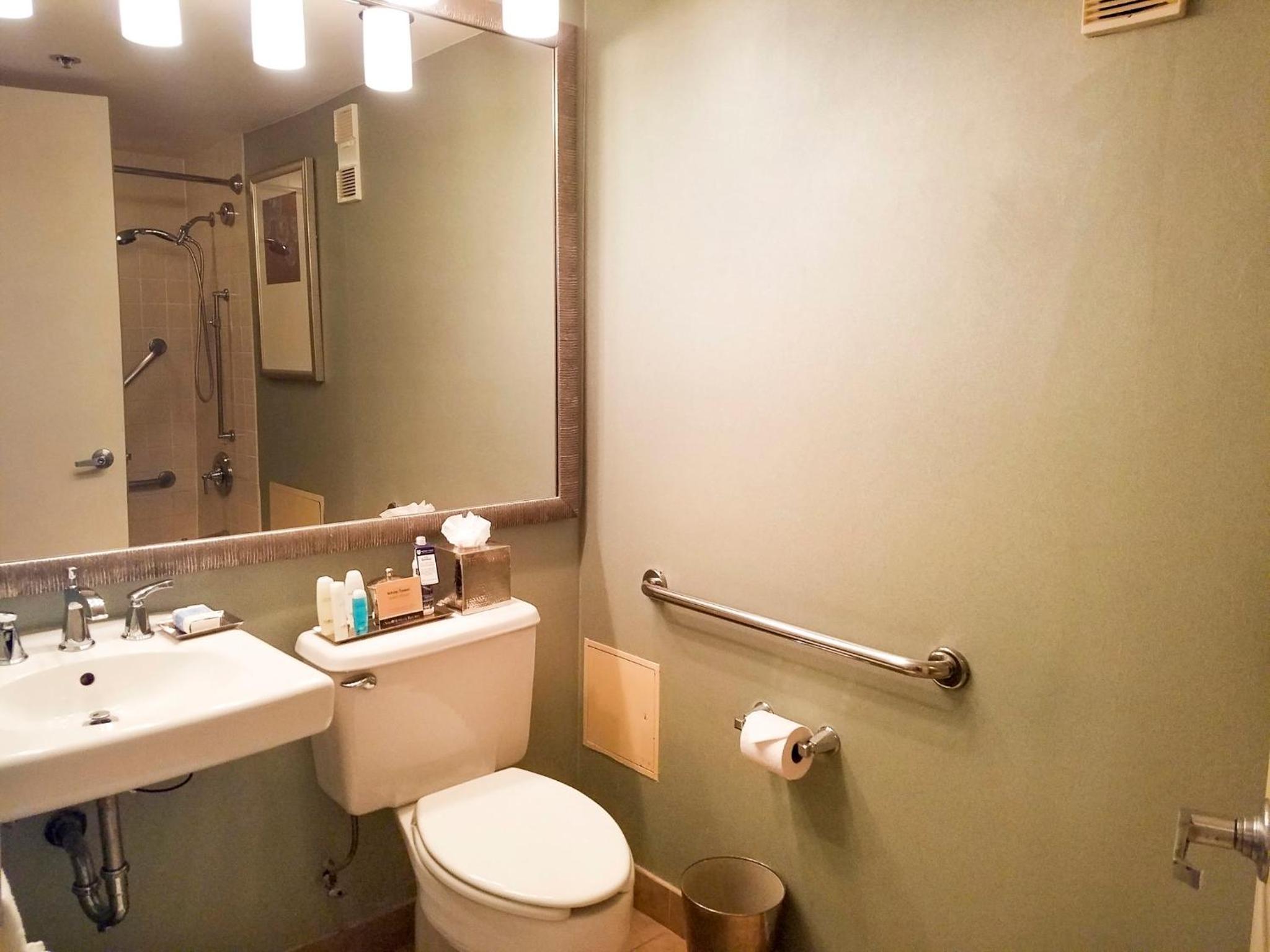 Deluxe King Room - Disability Access photo 2