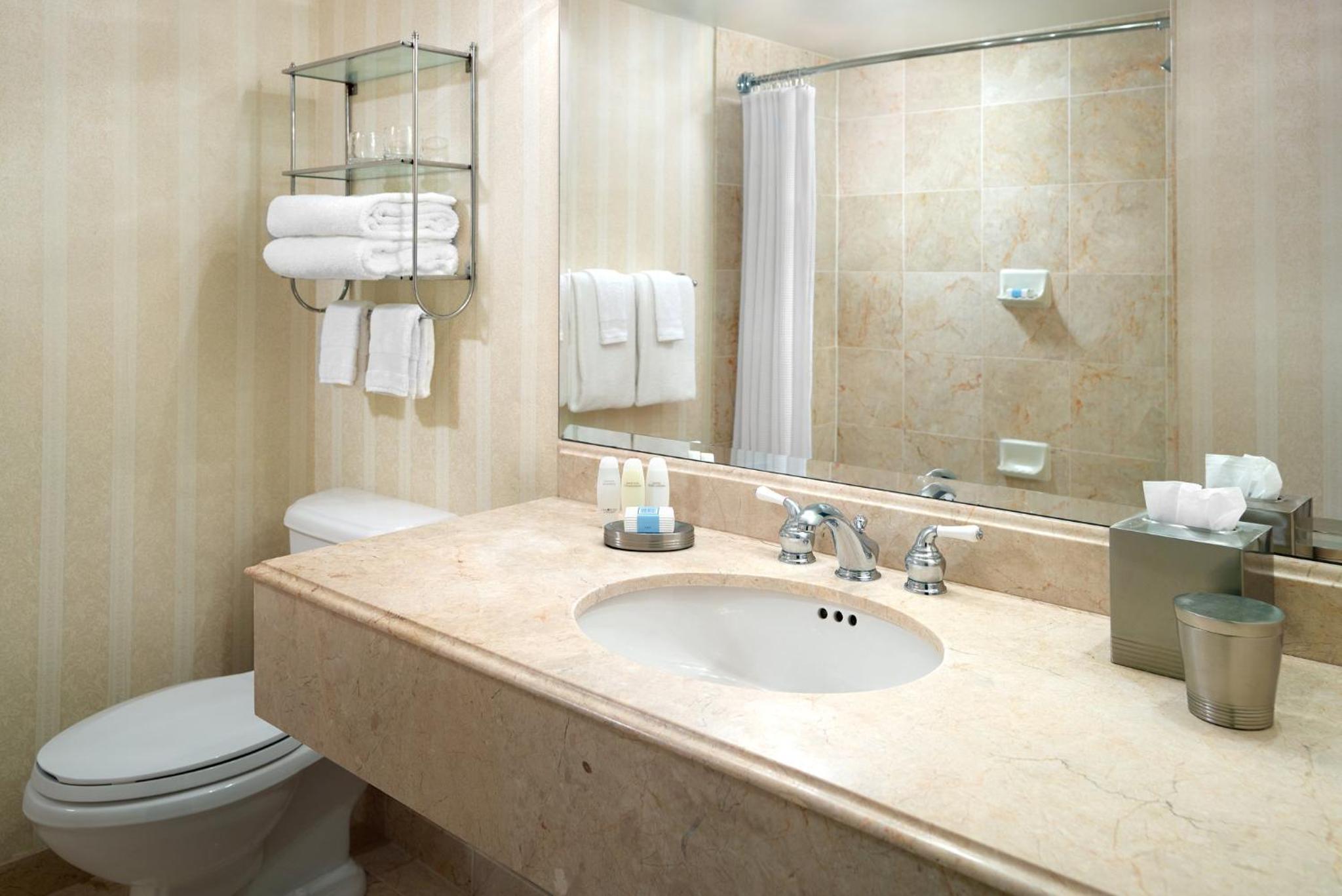 Accessible Premier Room with Roll in Shower 1 King Bed photo 2