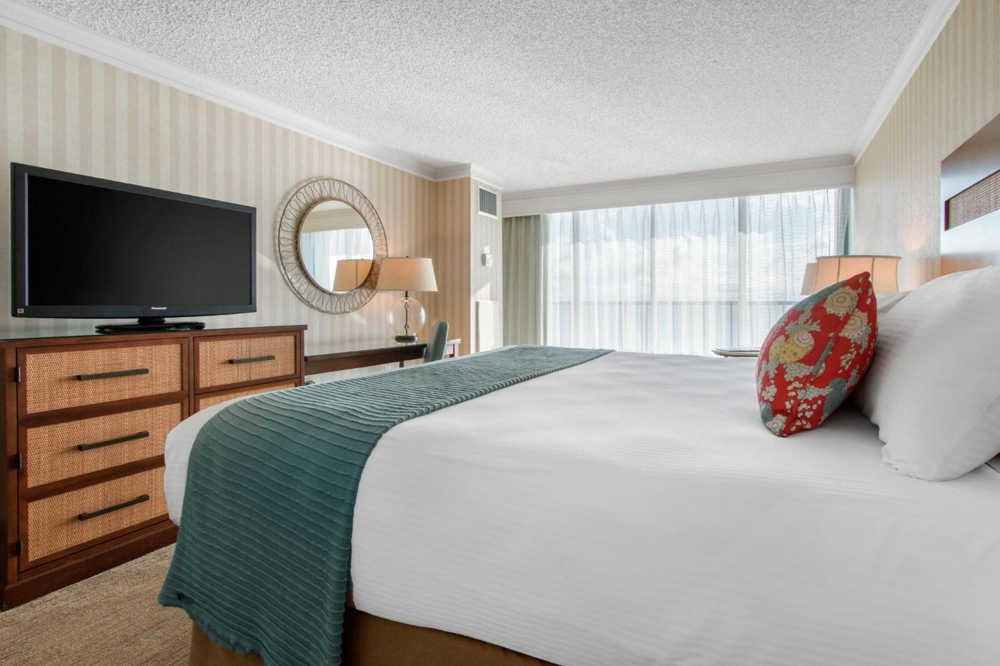 Signature Room - 1 King - Photo 5