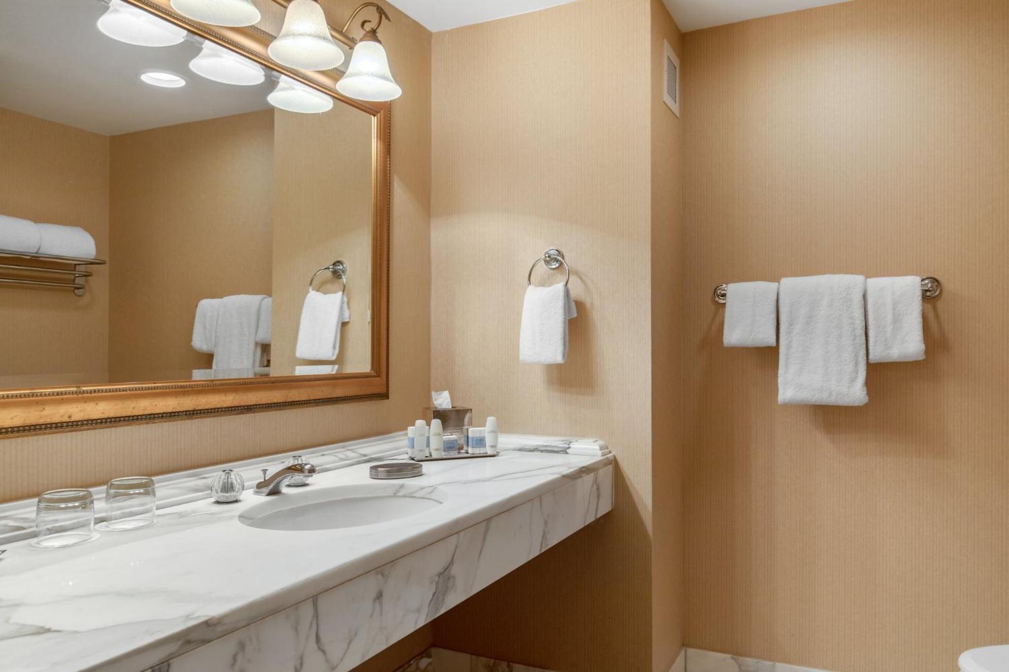 Deluxe King Room - Photo 15