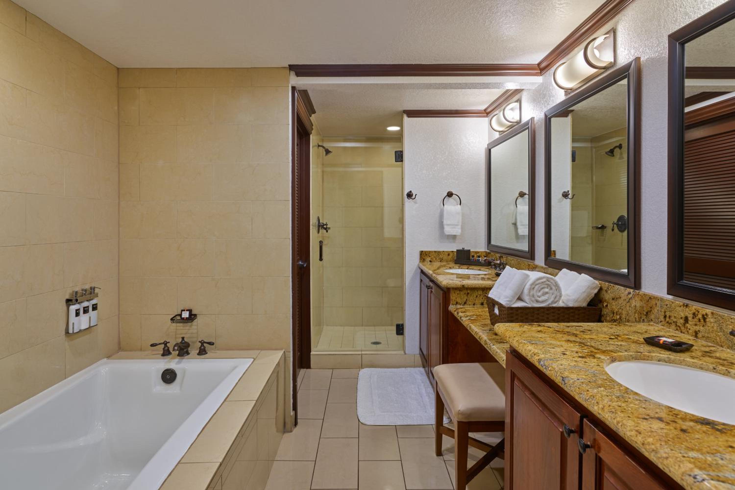 King Suite - Photo 4