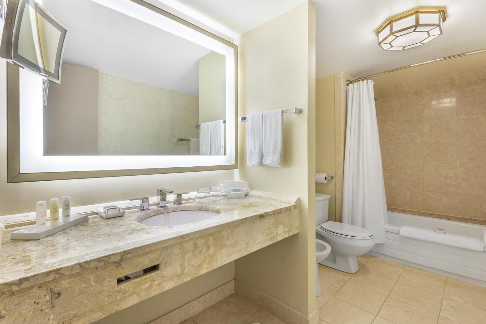 Premium King Room - Photo 2