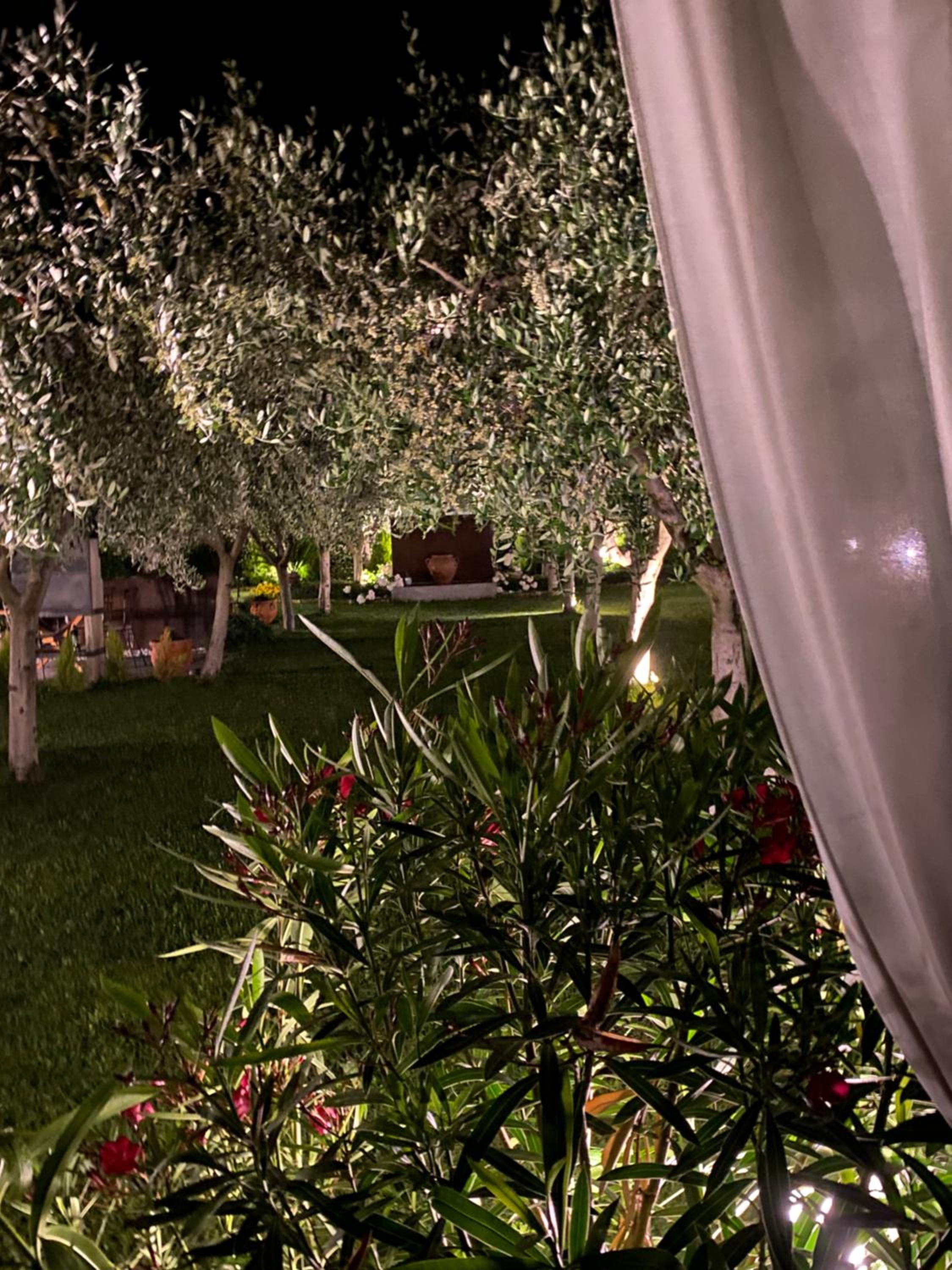 Apartment with Garden View - Photo 20