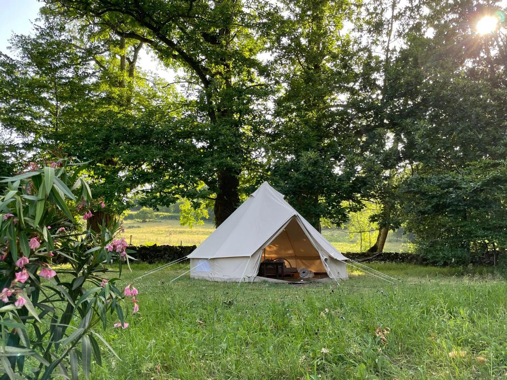 Tent photo 2