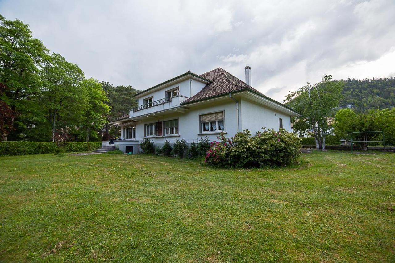 Superior Villa photo 1