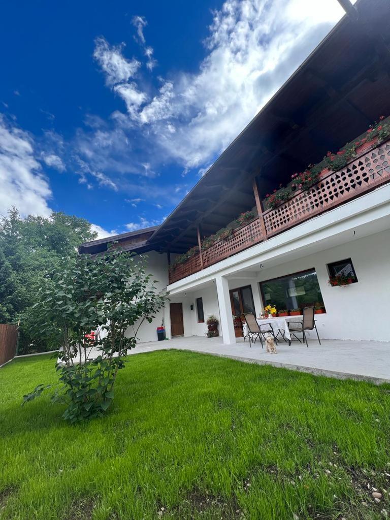 Standard Villa photo 2