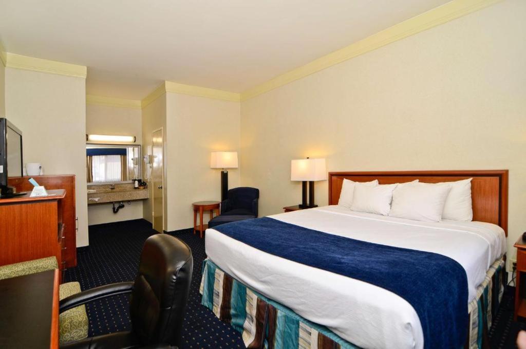 King Room - Photo 3