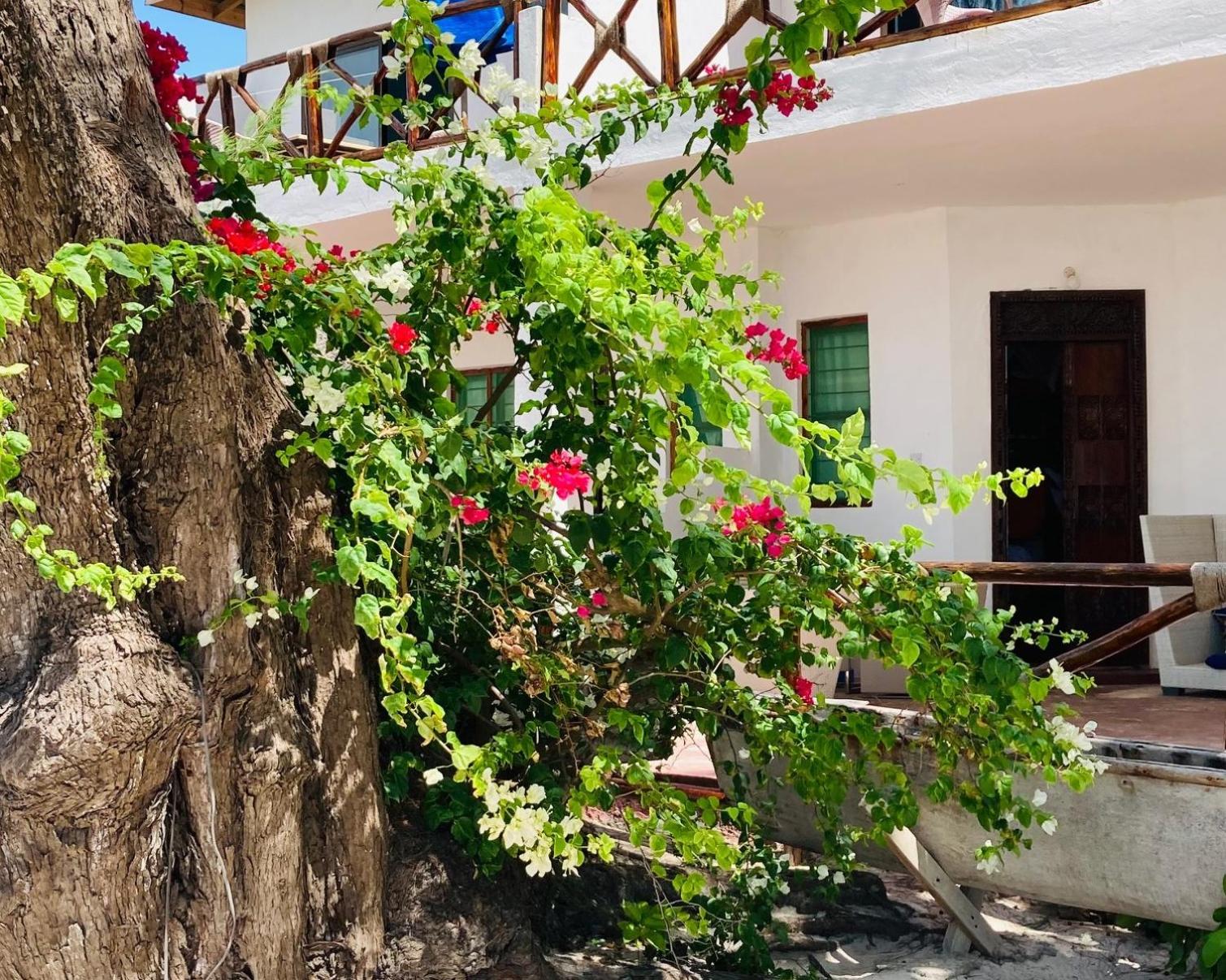 Deluxe Double or Twin Room with Sea View - Photo 9