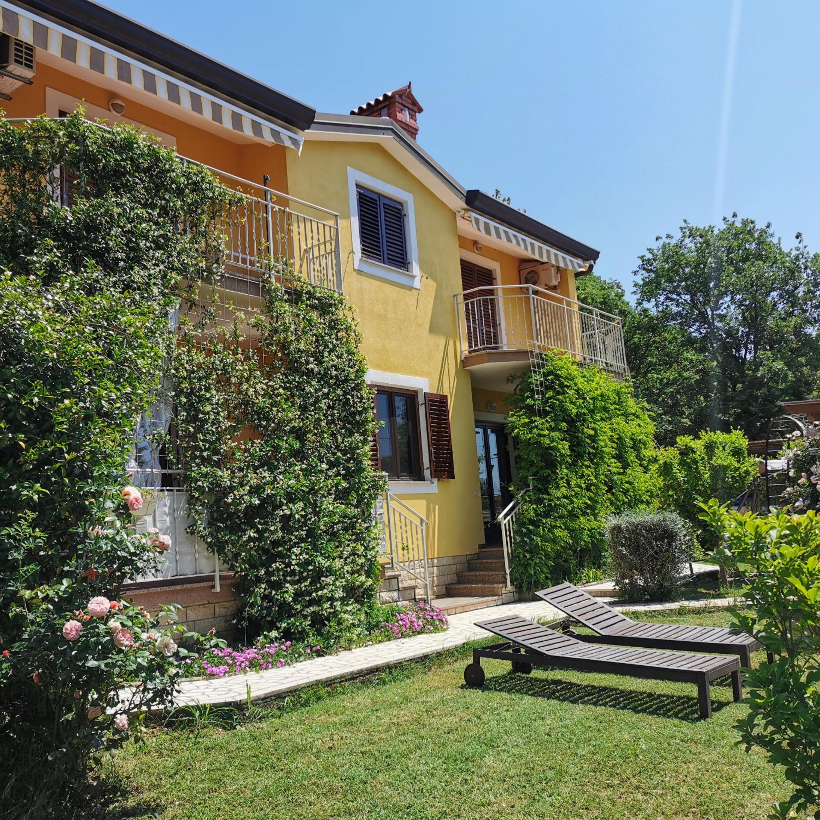 Apartment with Terrace photo 2