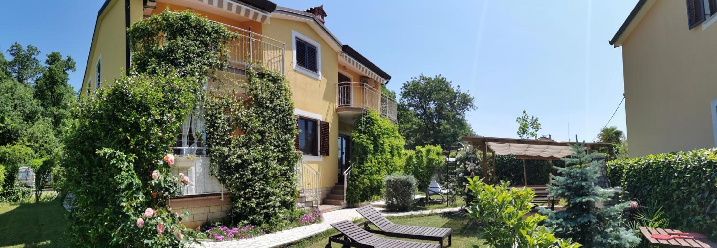 Apartment with Terrace photo 3