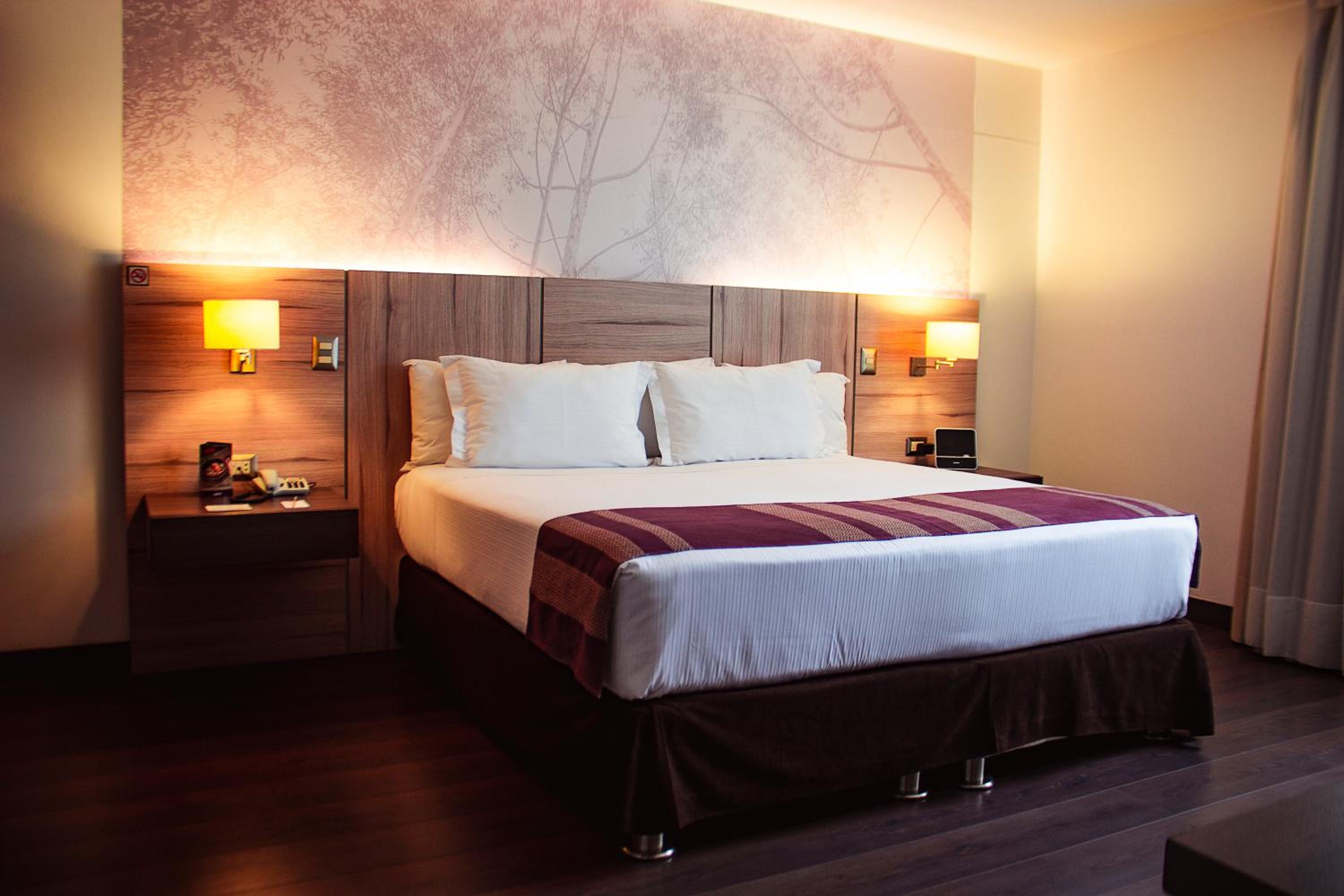 Premium King Room photo 2