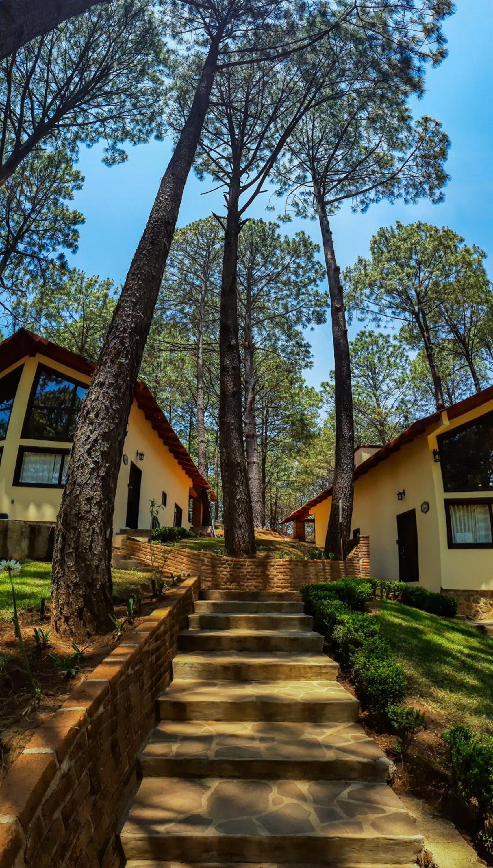 Three-Bedroom Chalet - Photo 8