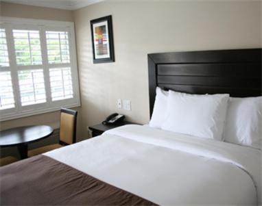 Standard Room with Two Double Beds photo 1