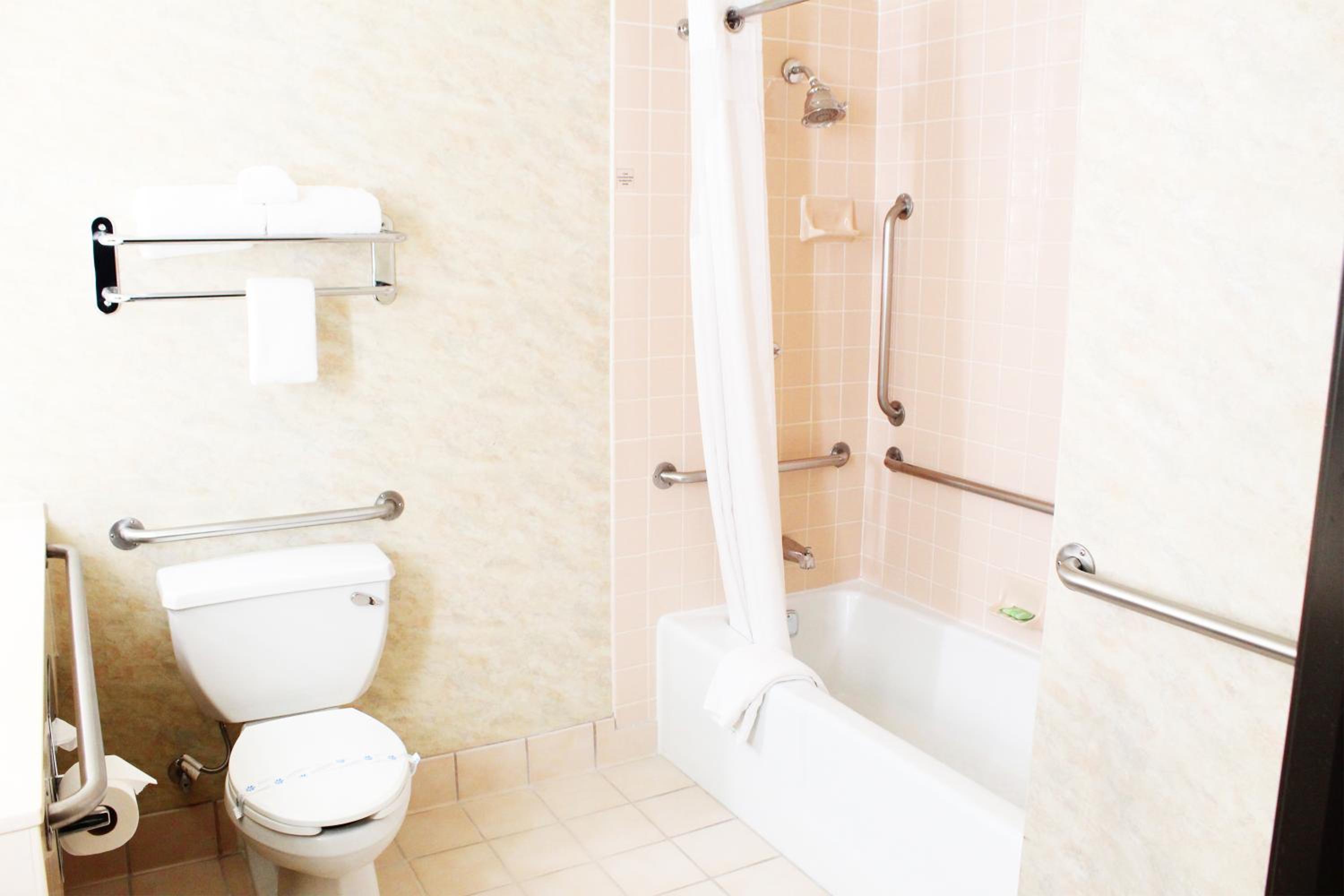 1 Queen Bed, Wheelchair Accessible - Photo 3