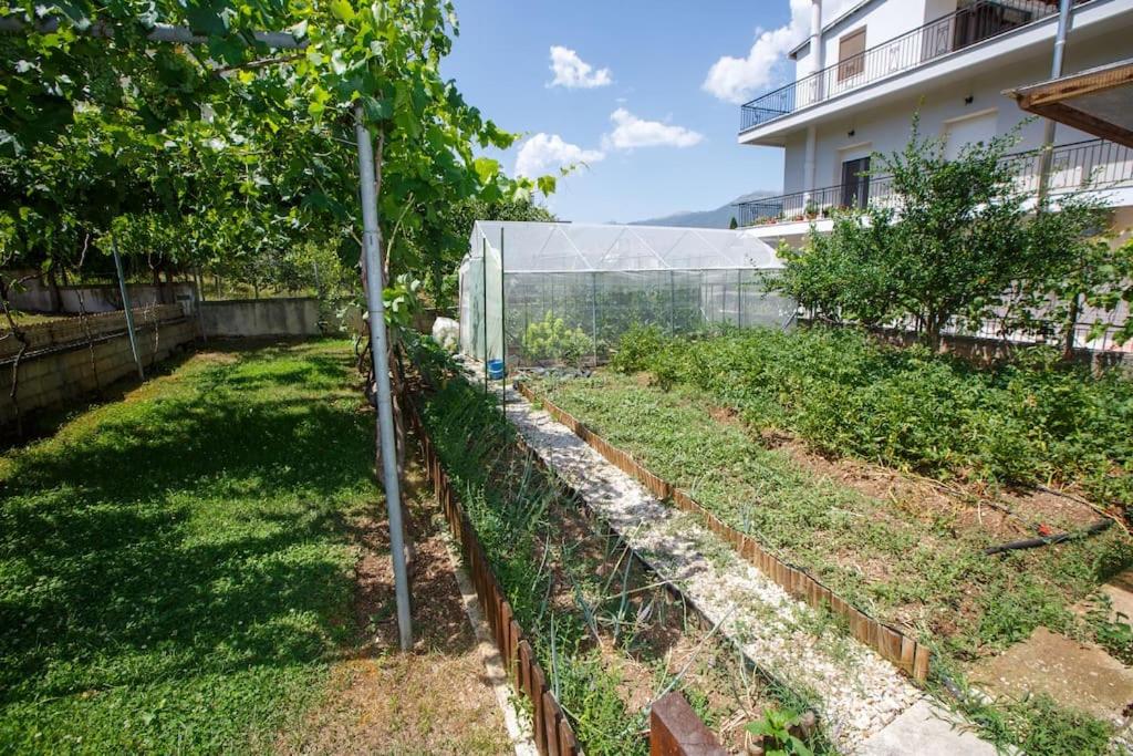 Apartment - Photo 45