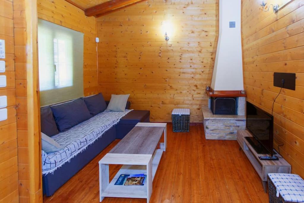 Apartment - Photo 5