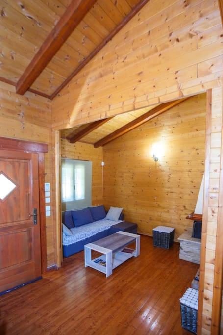 Apartment - Photo 6