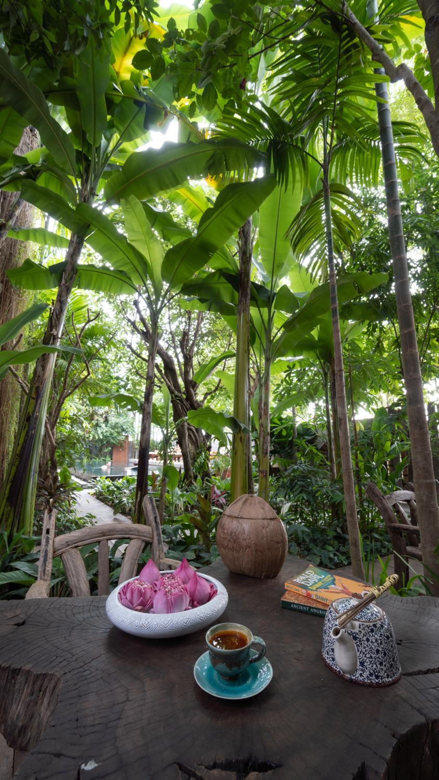 Suite with Pool Access| Includes Afternoon Tea & Tree Planting - Photo 11