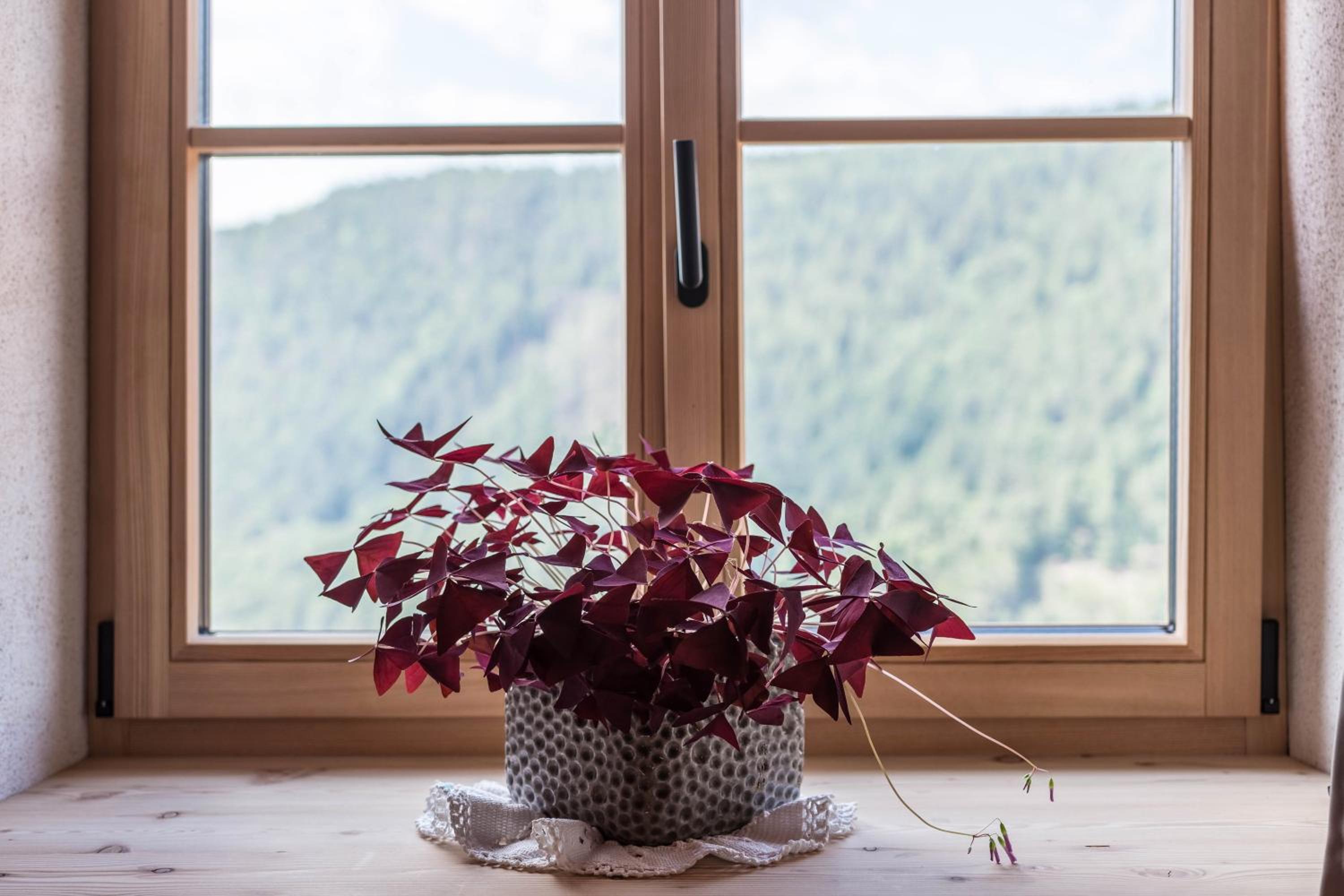 Two-Bedroom Deluxe Apartment with Garden View photo 3