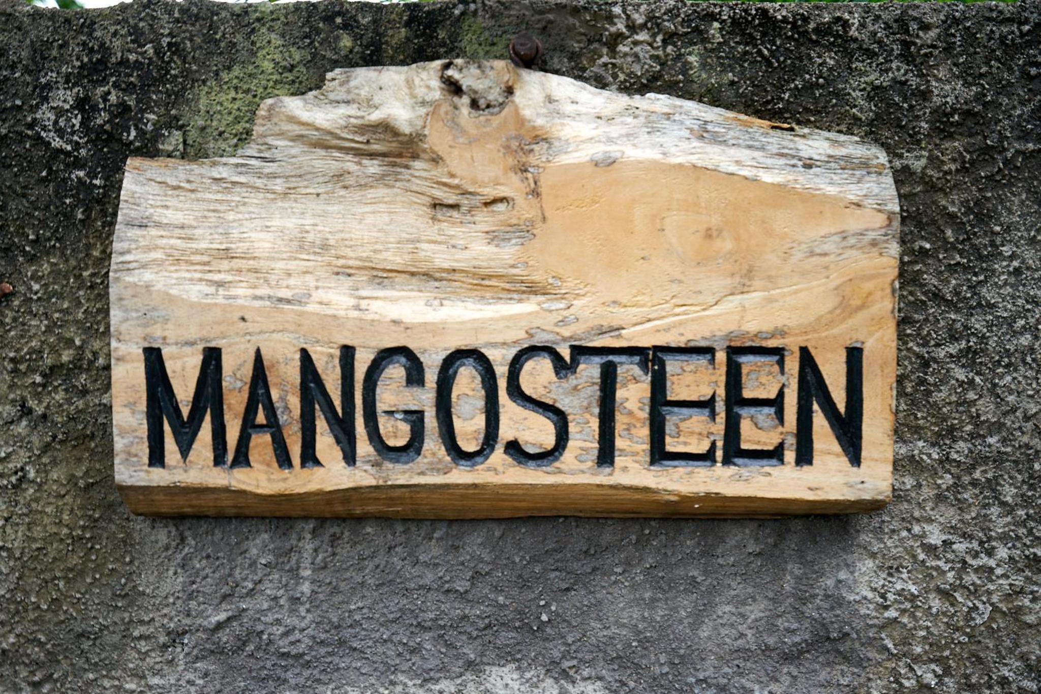 Villa Adi Mangosteen with Private Pool - Photo 34