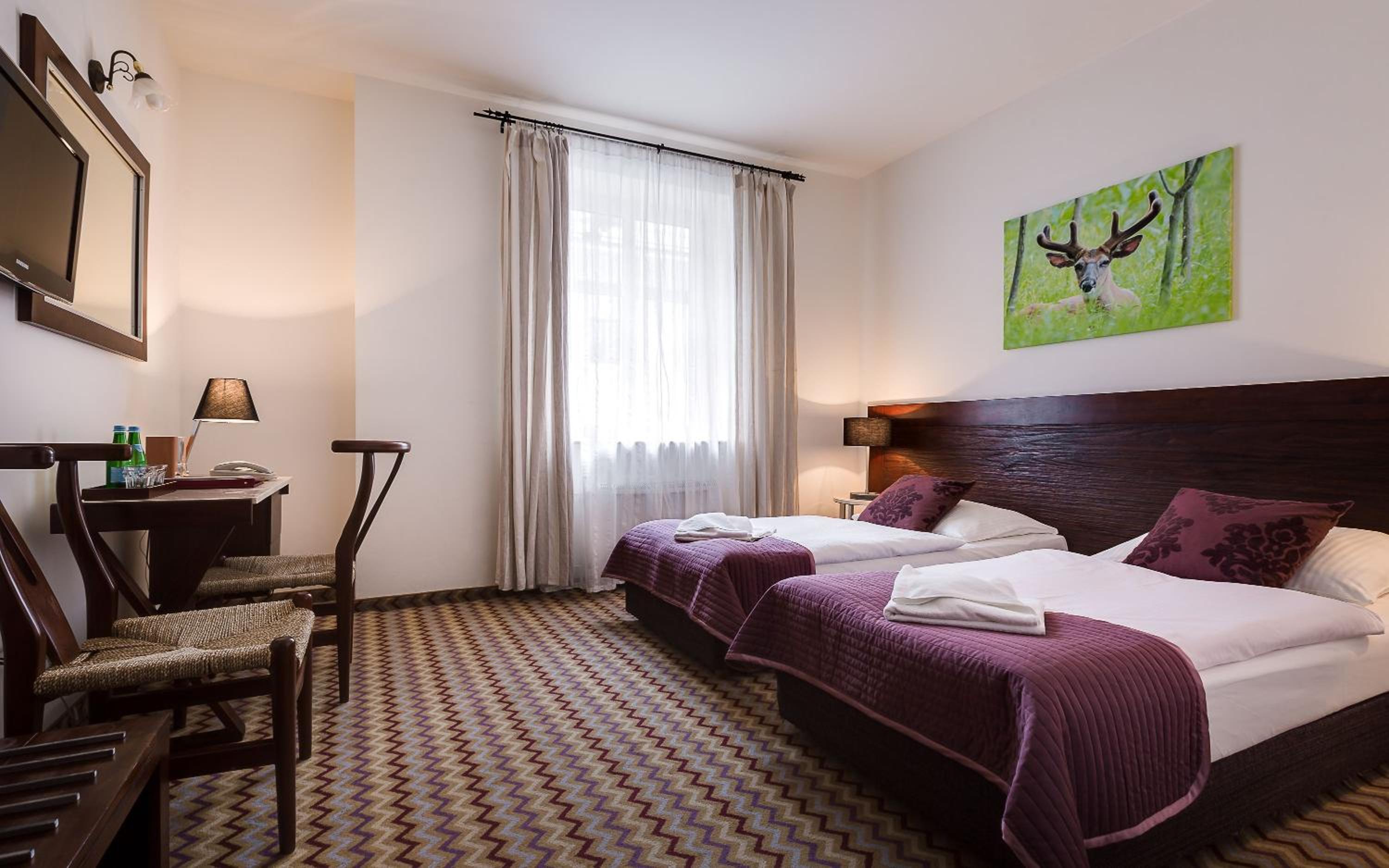 Standard Twin Room with Mountain View photo 1