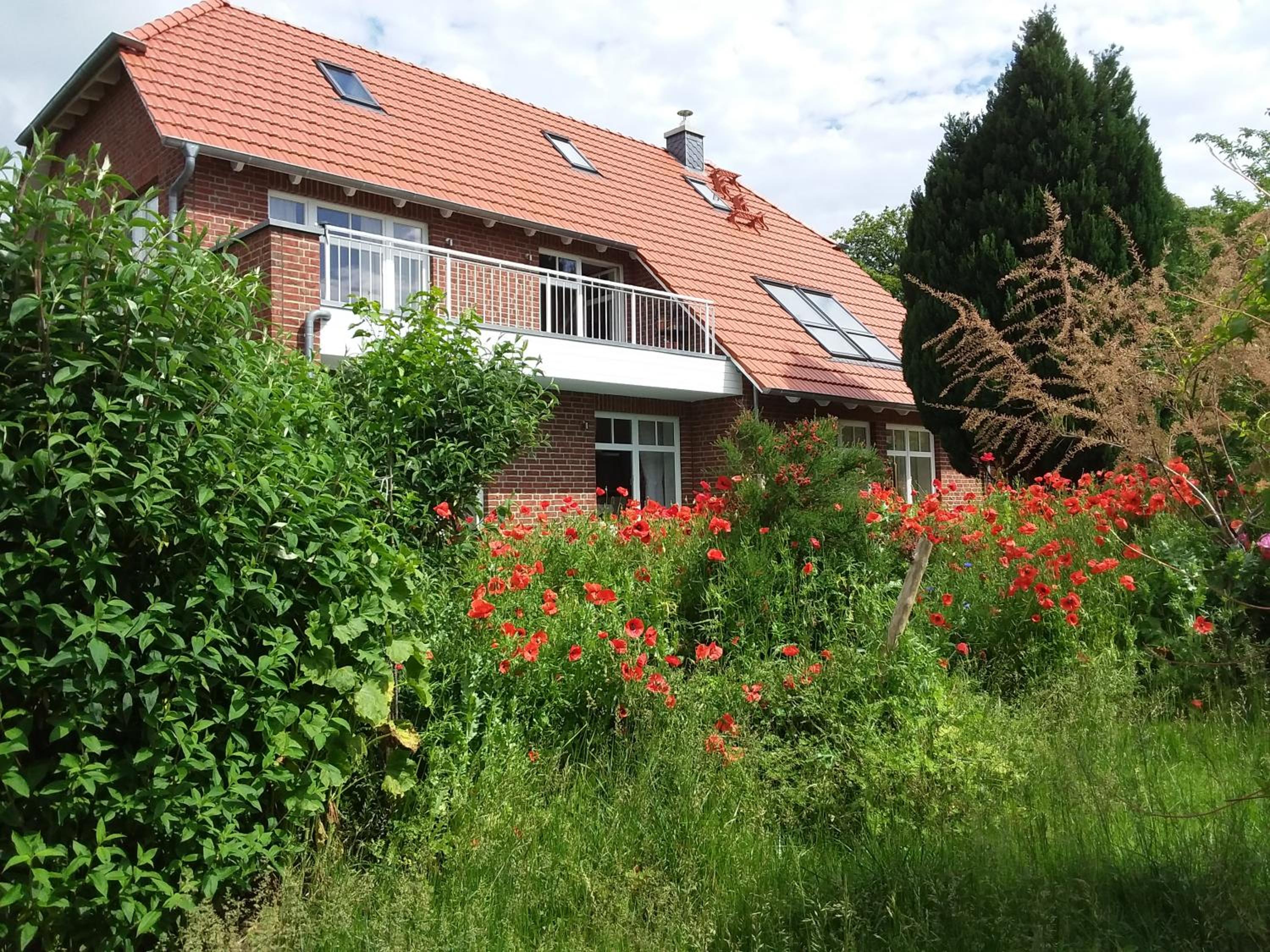 Apartment with Terrace photo 3
