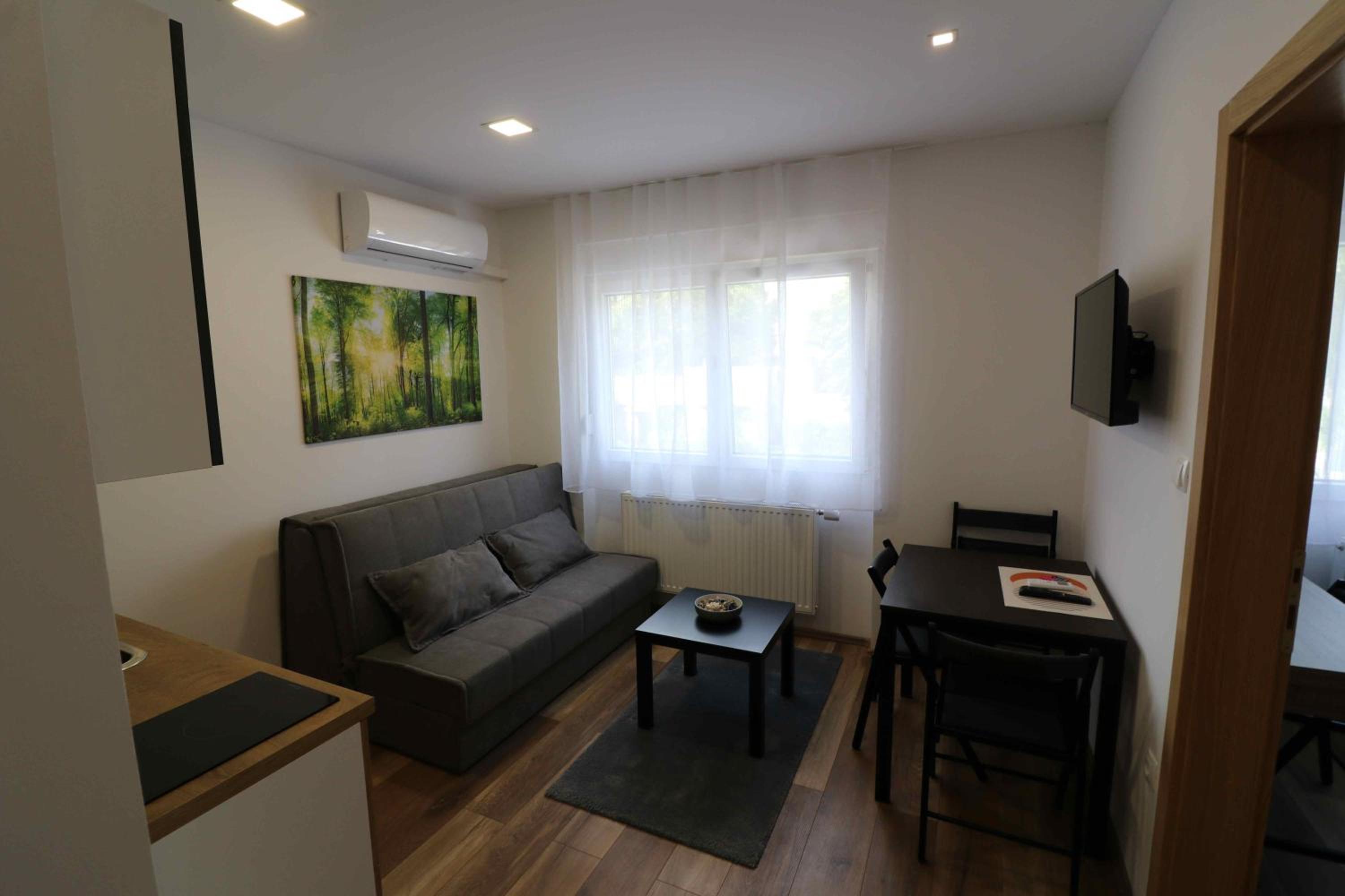 One-Bedroom Apartment - Photo 10