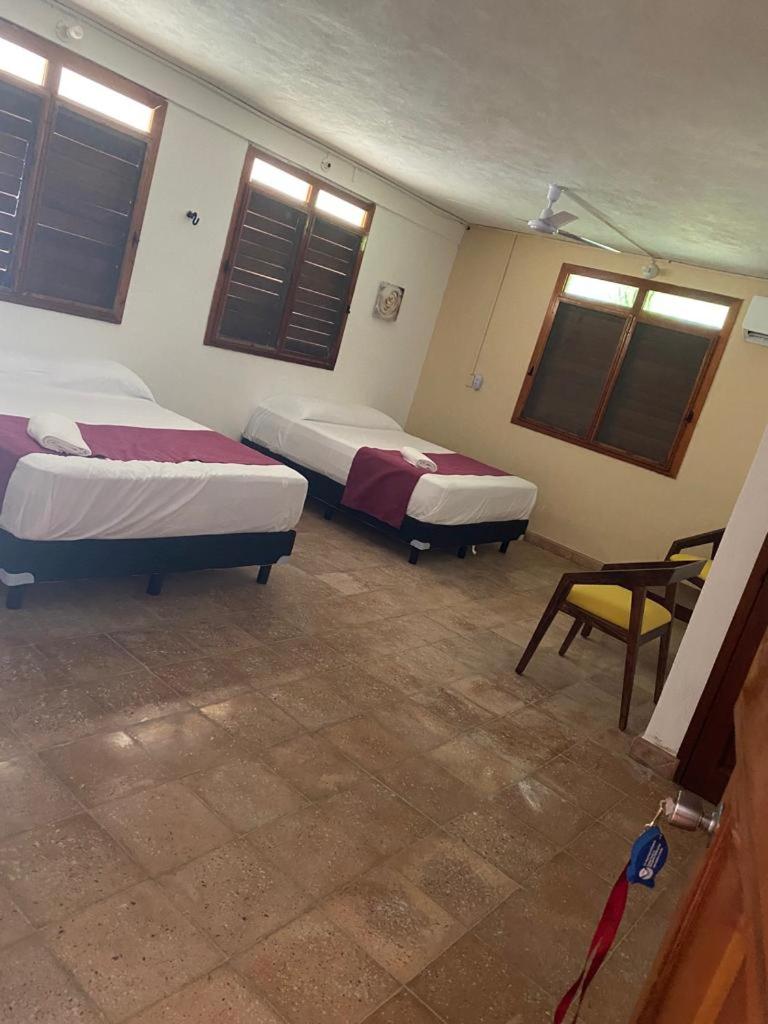 Double Room with Garden View photo 1