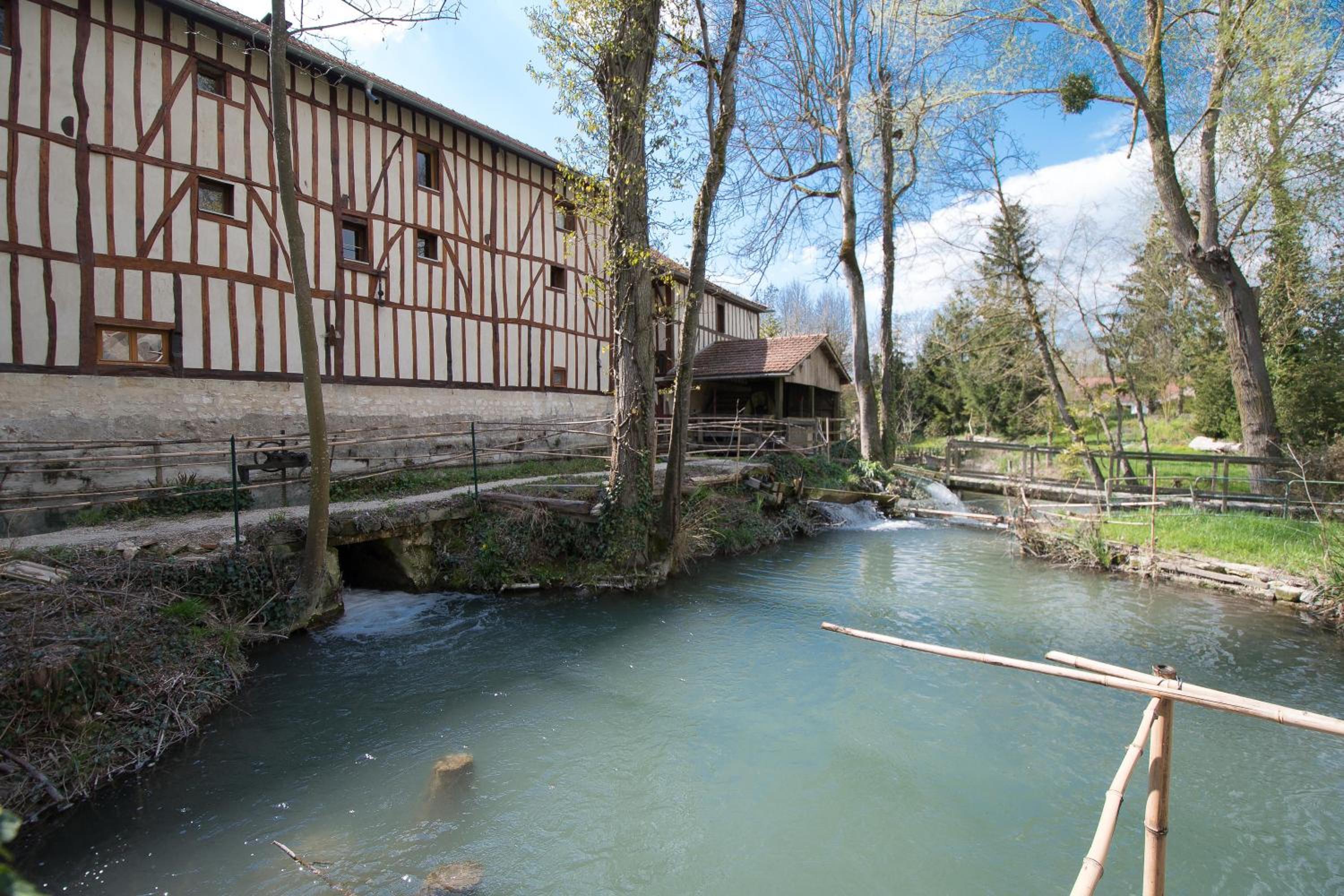 Villa - Photo 4