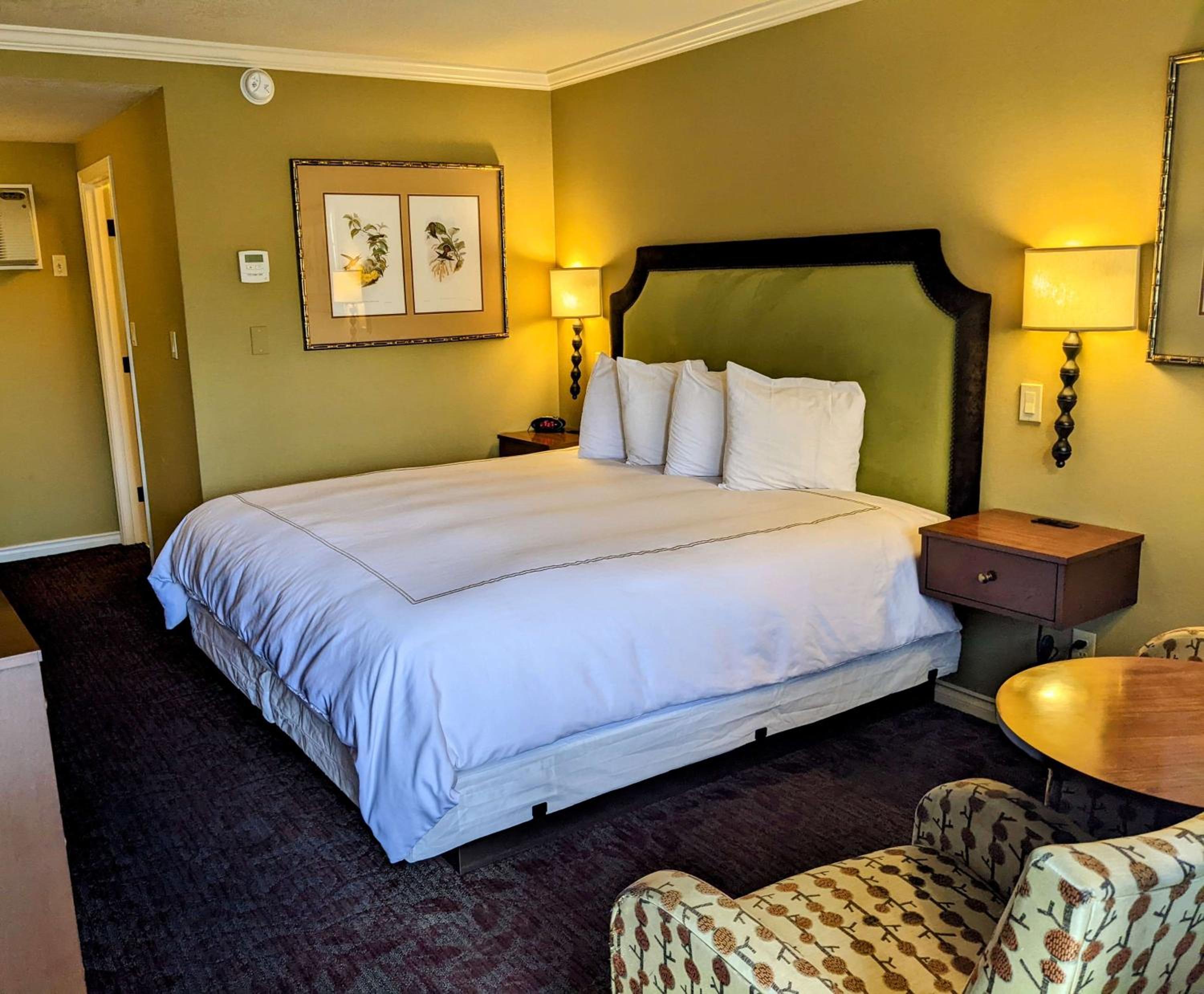 King Room - Pet-Friendly