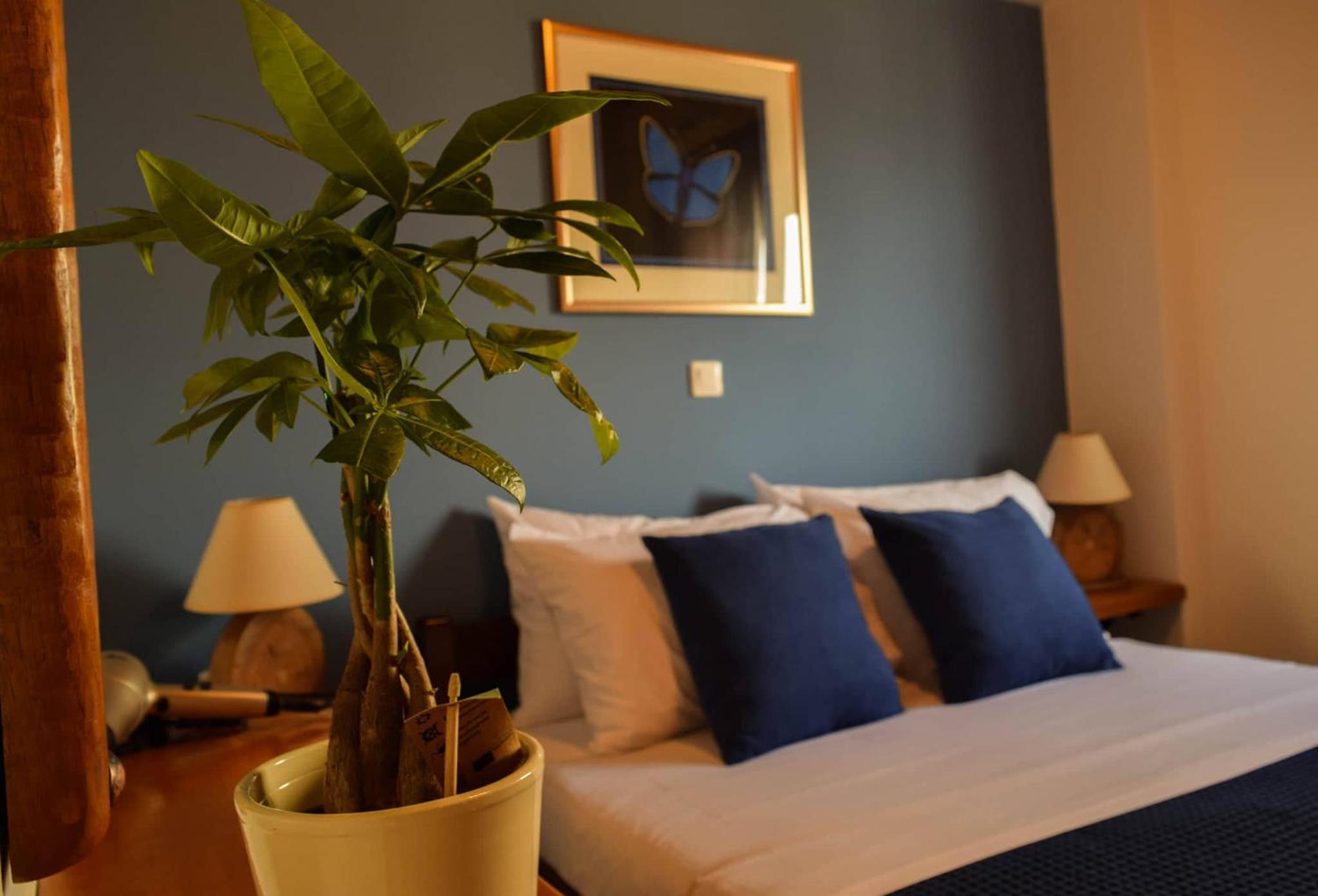 Superior Apartment photo 1