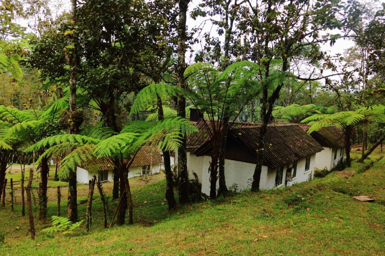 Two-Bedroom Bungalow