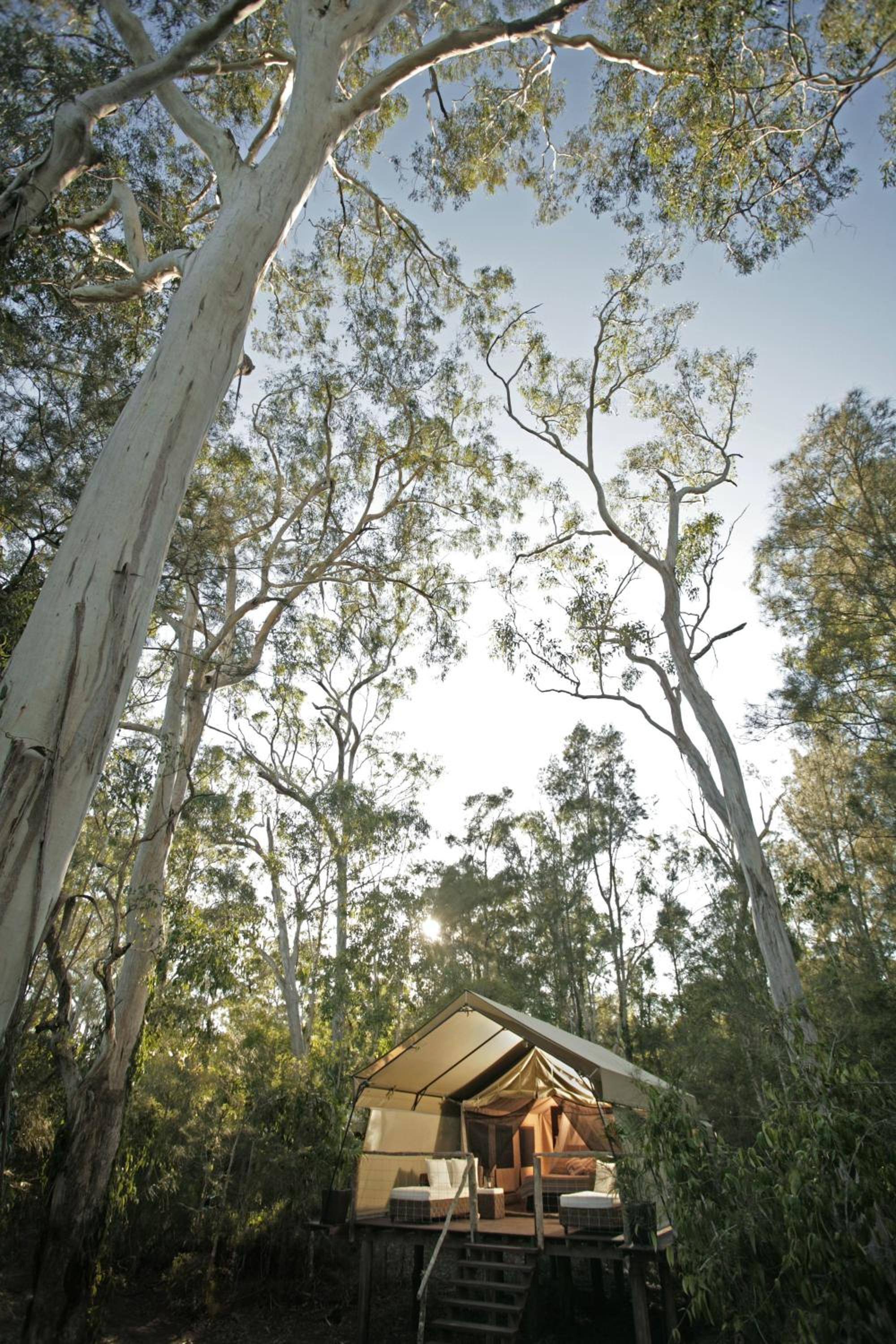 Deluxe Safari Tent - Photo 7