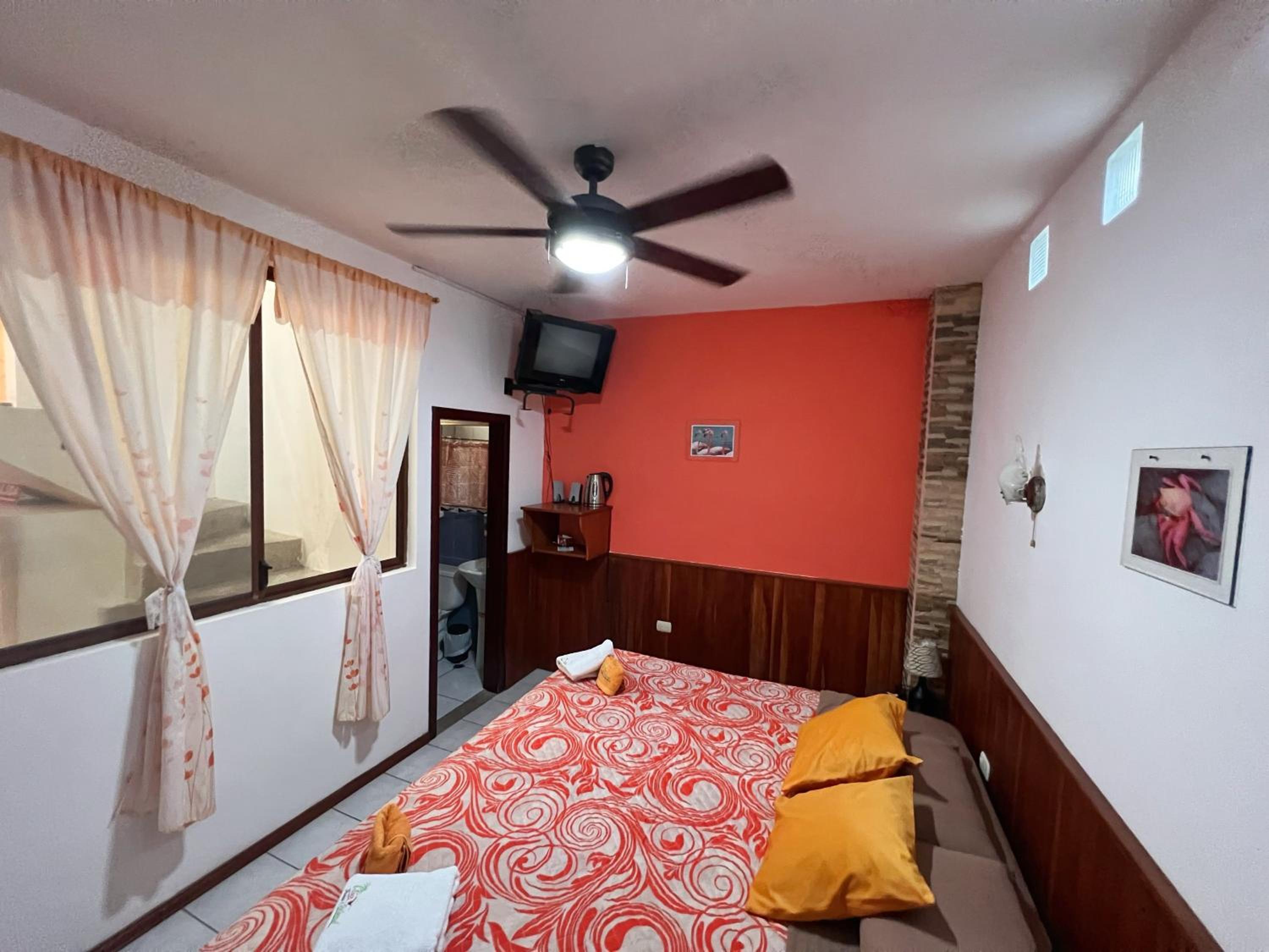 Twin Room photo 3