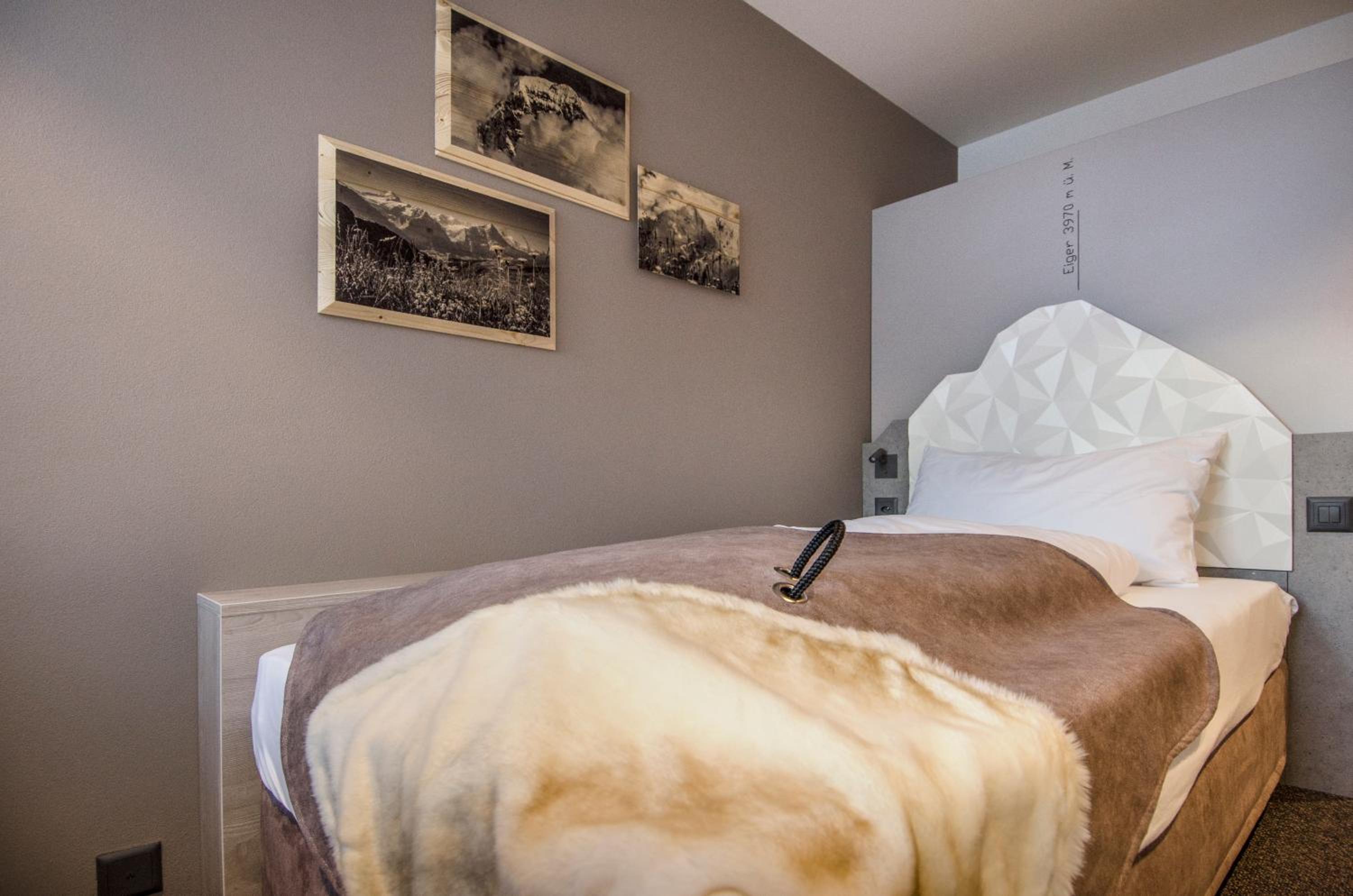 Modern Single Room - Photo 1