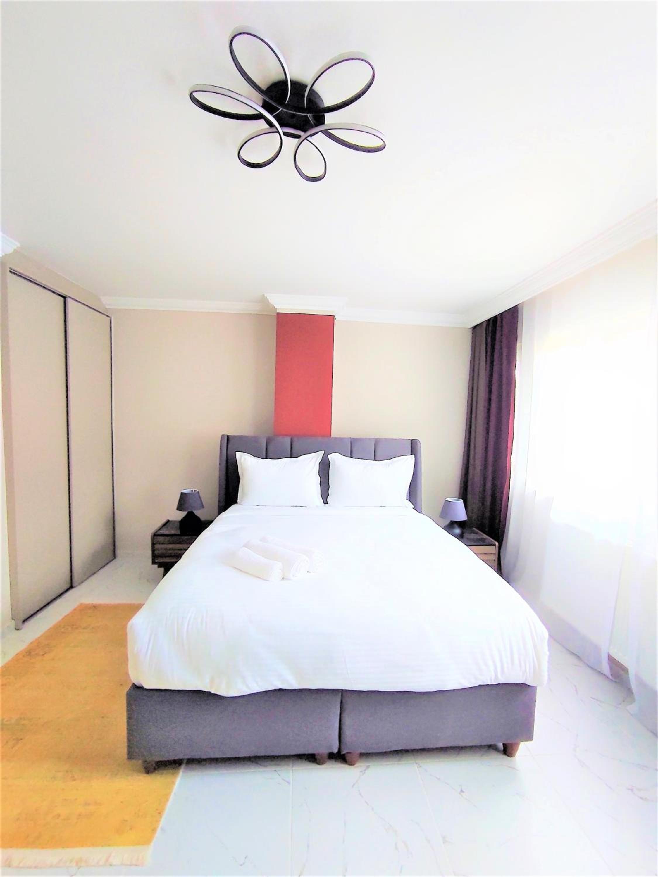One-Bedroom Apartment photo 3