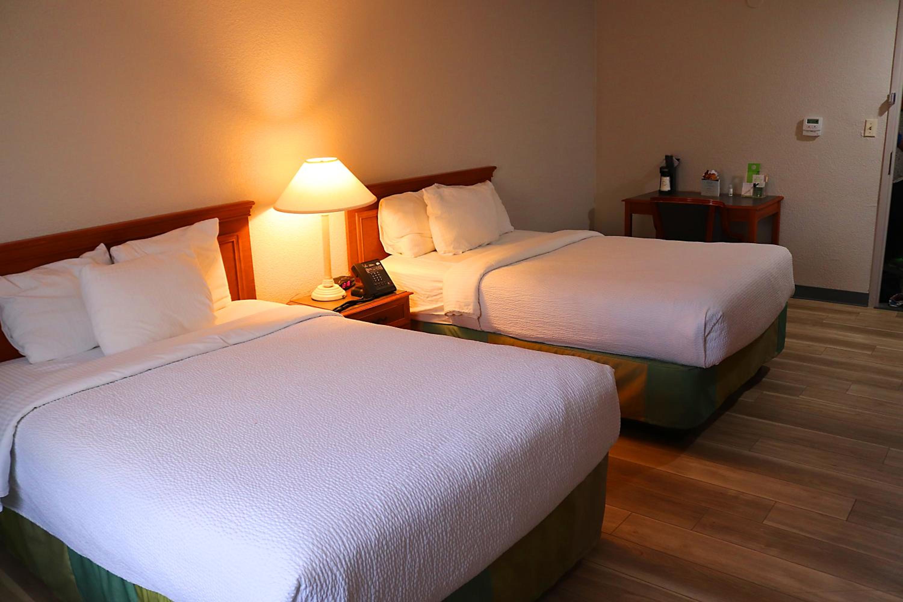 Deluxe Double with Two Double Beds  - Photo 9