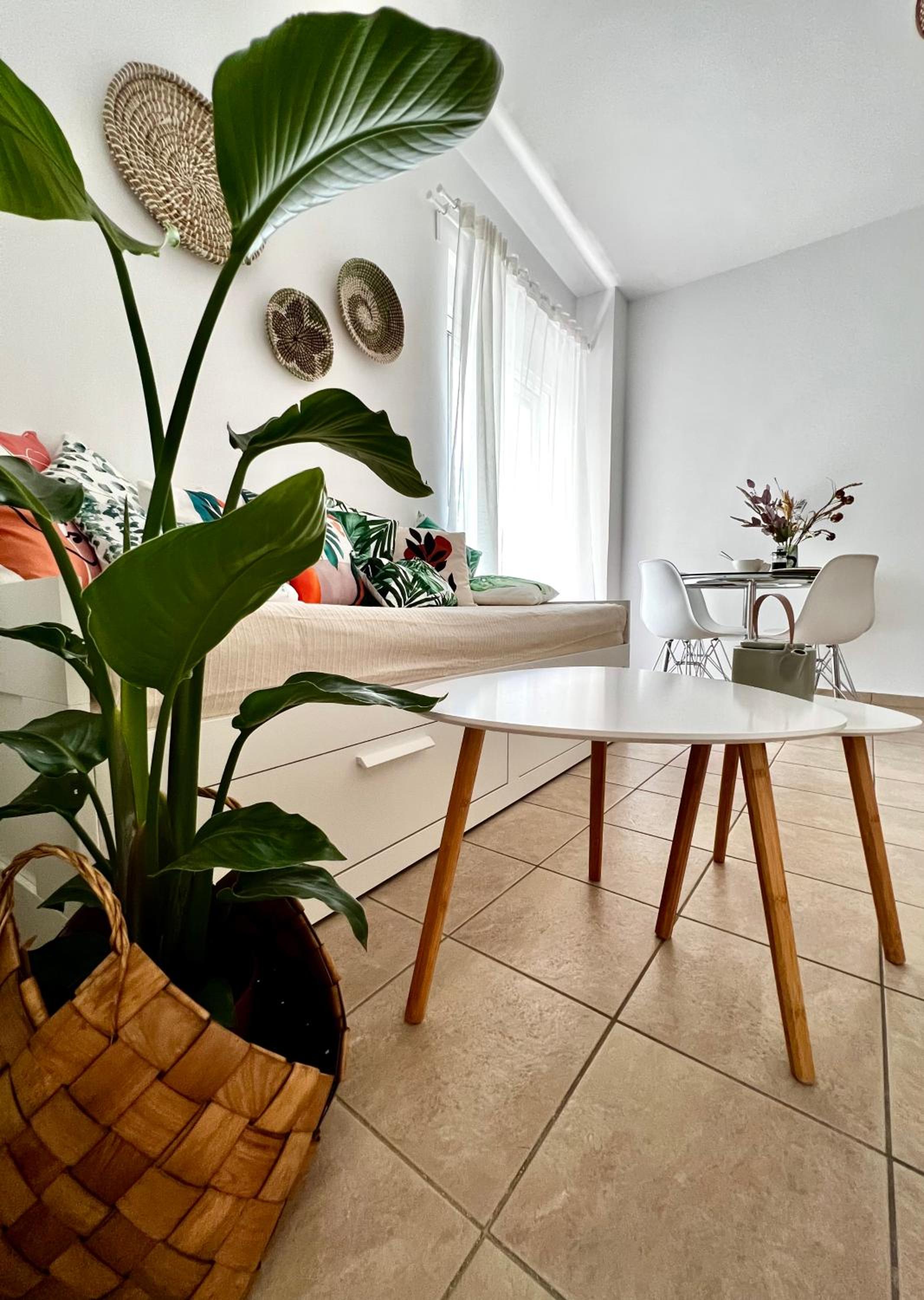 Superior Apartment photo 1