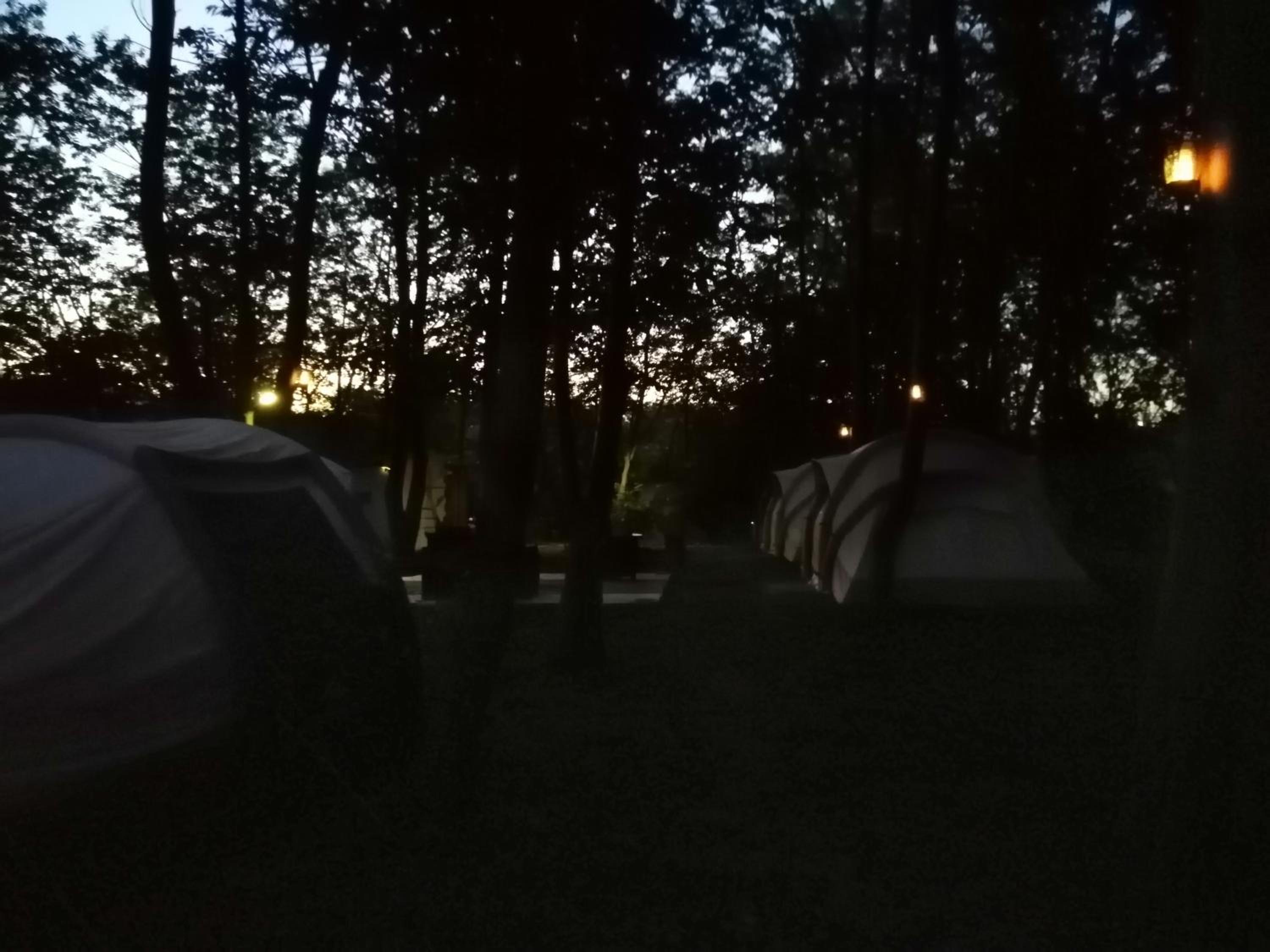 Deluxe Camping Tent - Photo 44