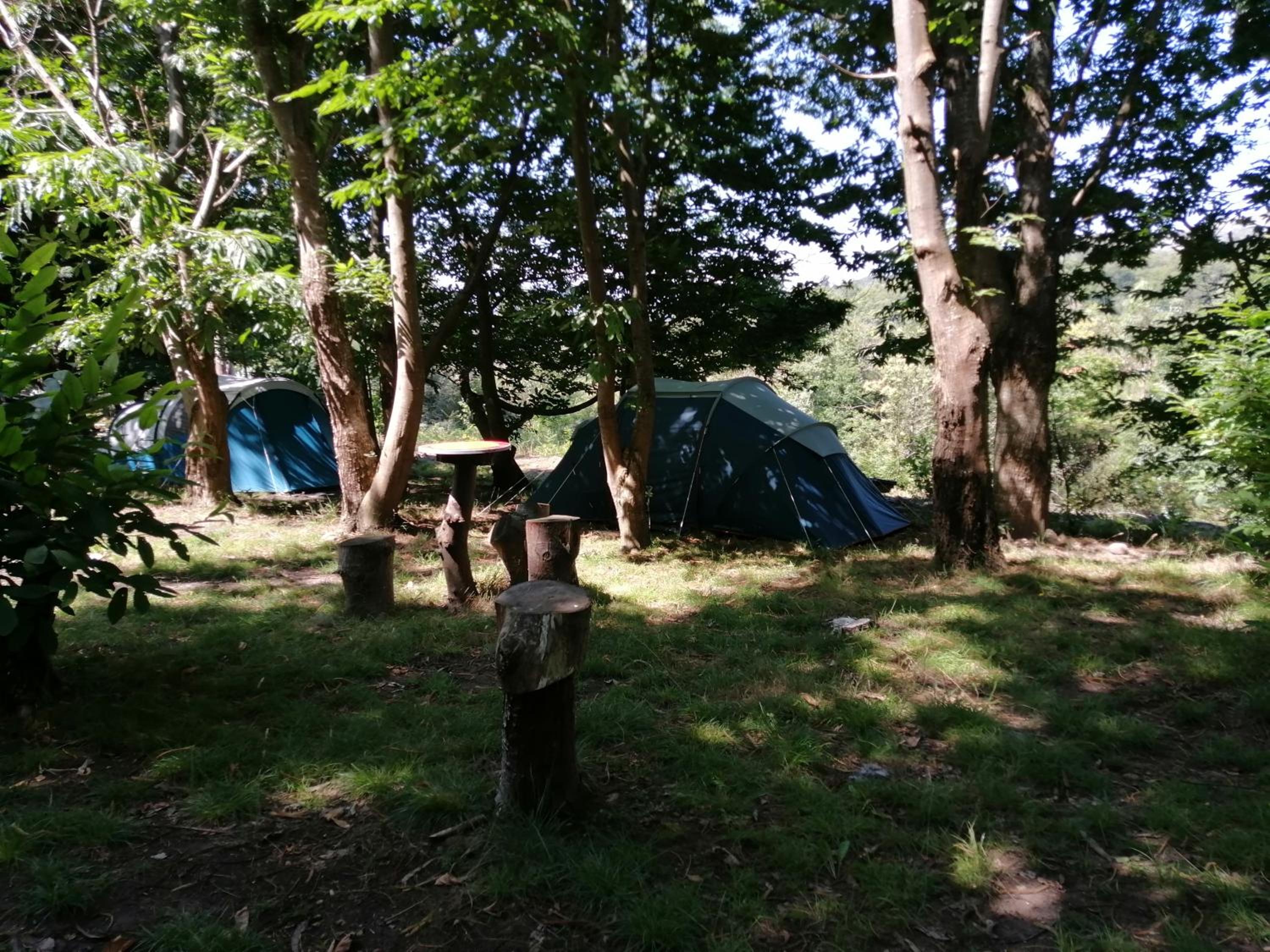 Two-Bedroom Tent - Photo 18