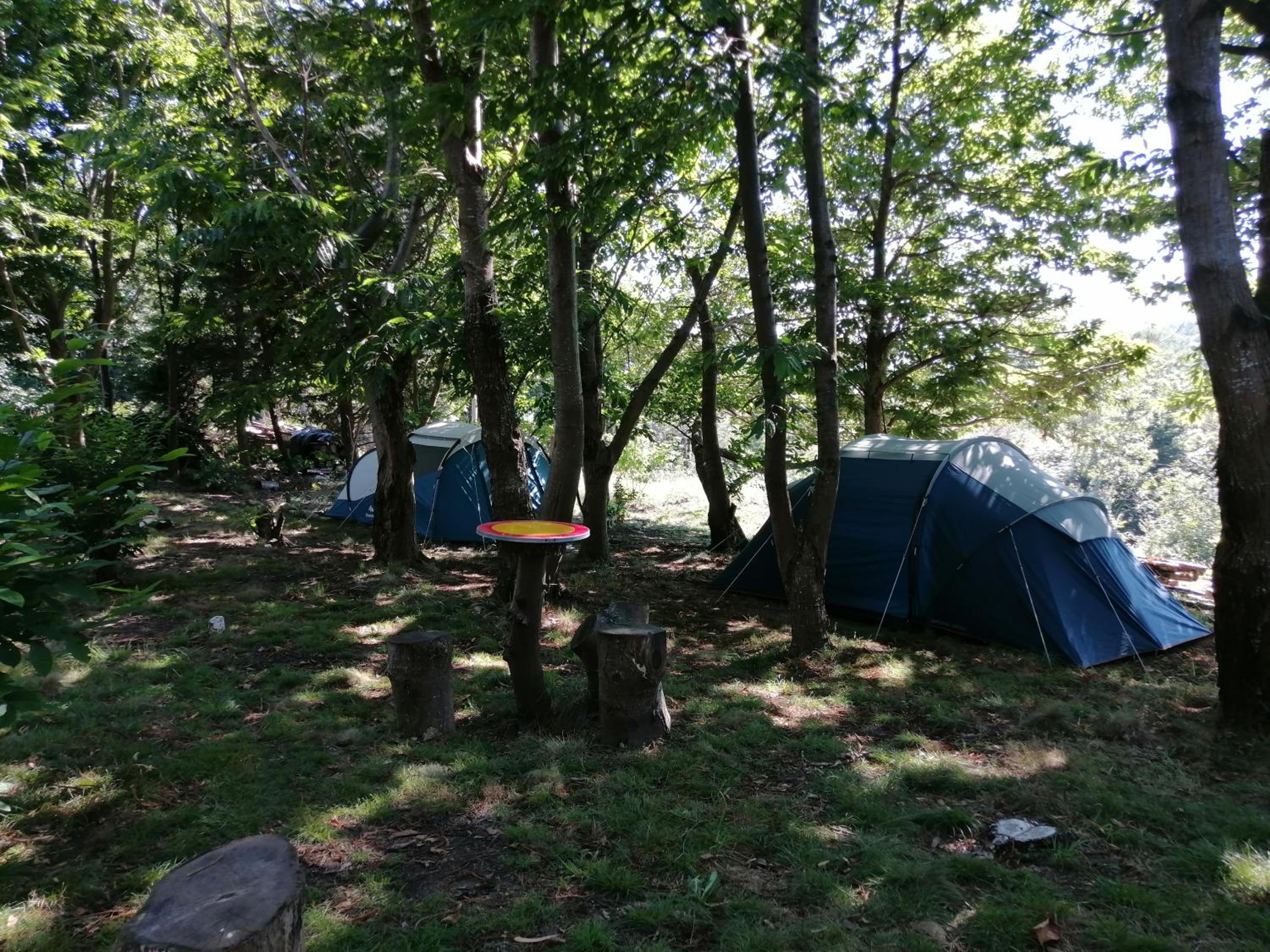 Two-Bedroom Tent - Photo 13