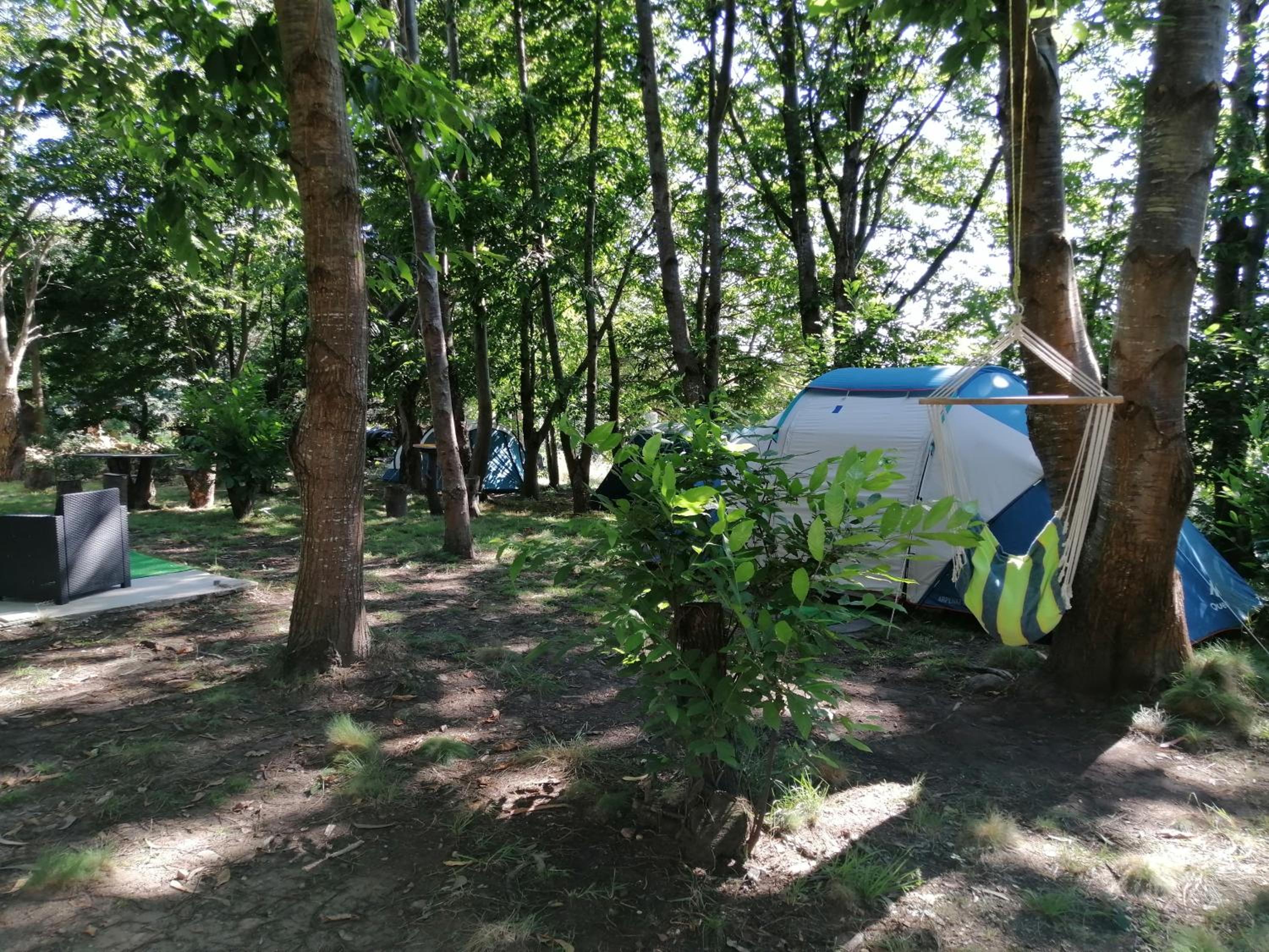 Two-Bedroom Tent - Photo 8
