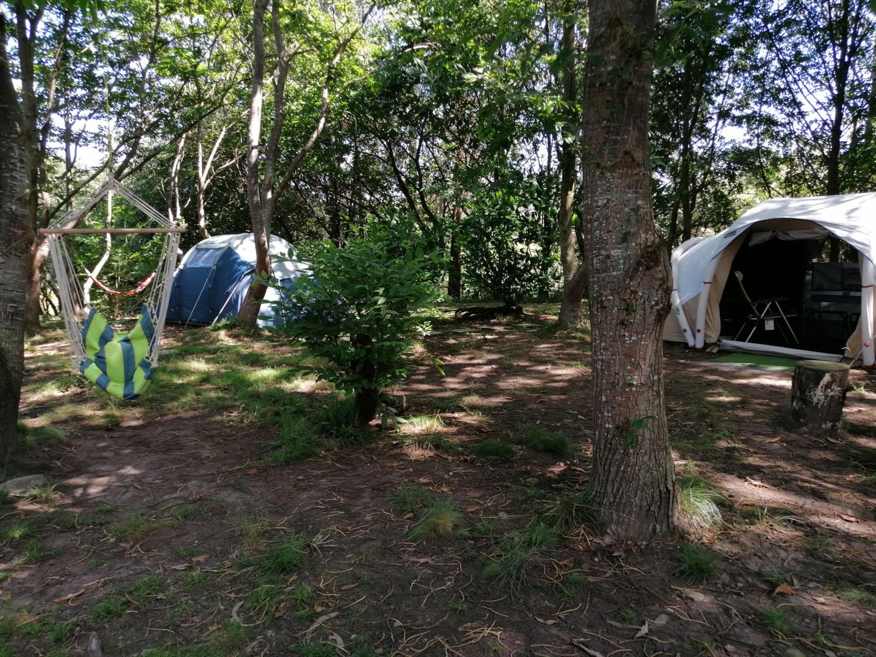 Two-Bedroom Tent - Photo 4