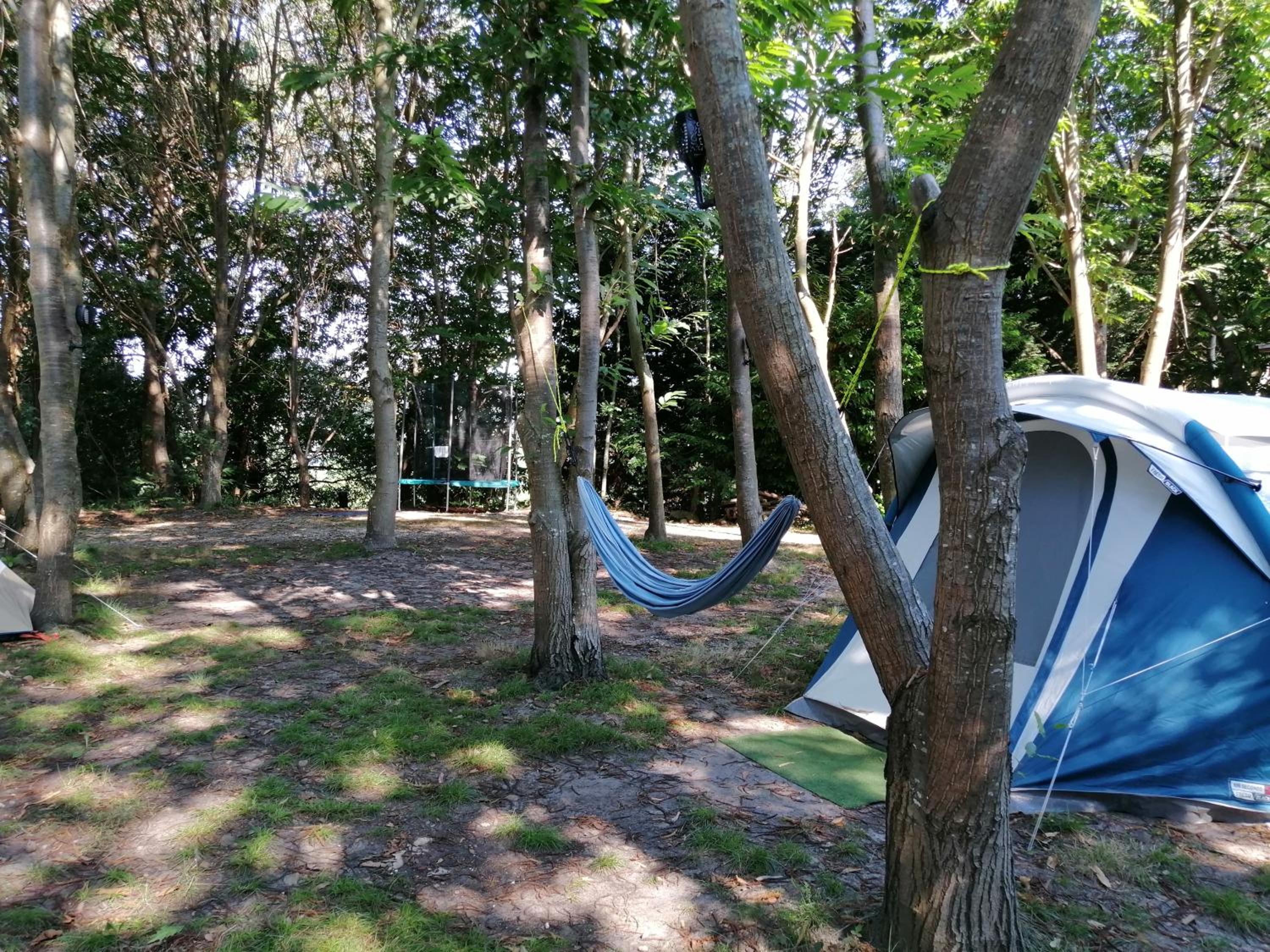 Deluxe Camping Tent - Photo 83