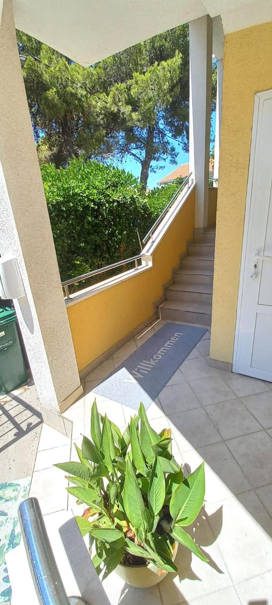 Apartment with Terrace photo 2
